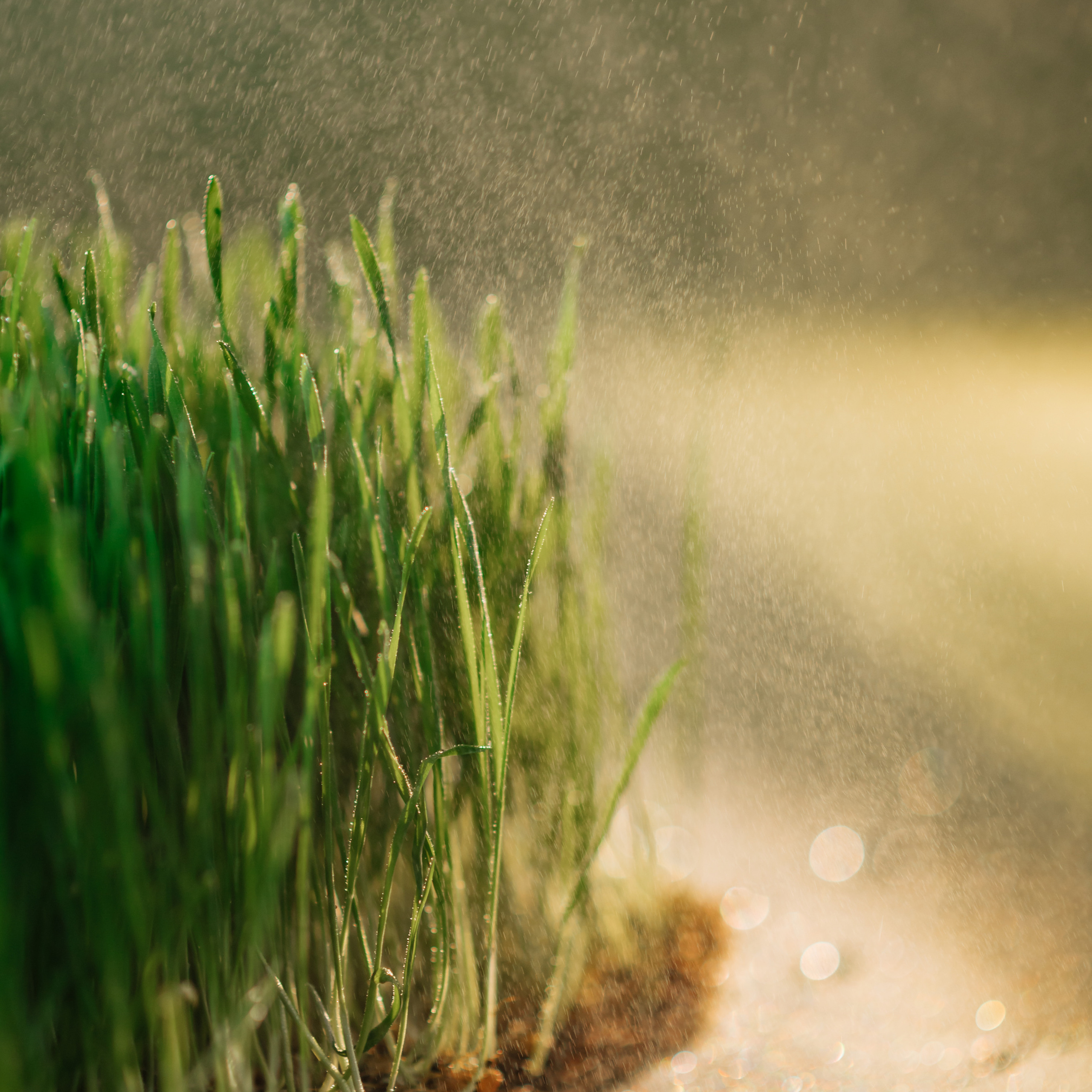 Отзывы. Фотограф Светлана Киселева