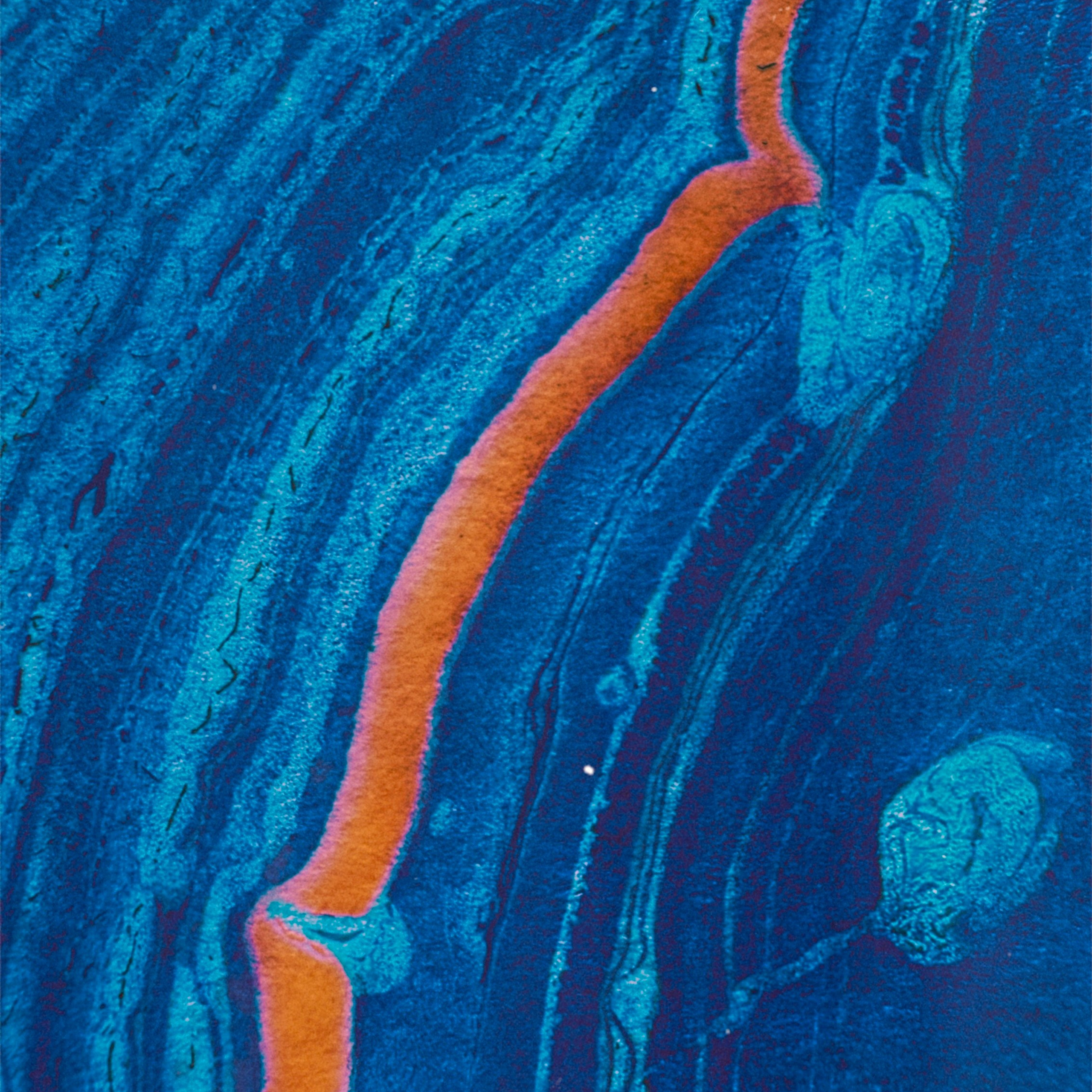 MY BLUE. Ширяева Ольга