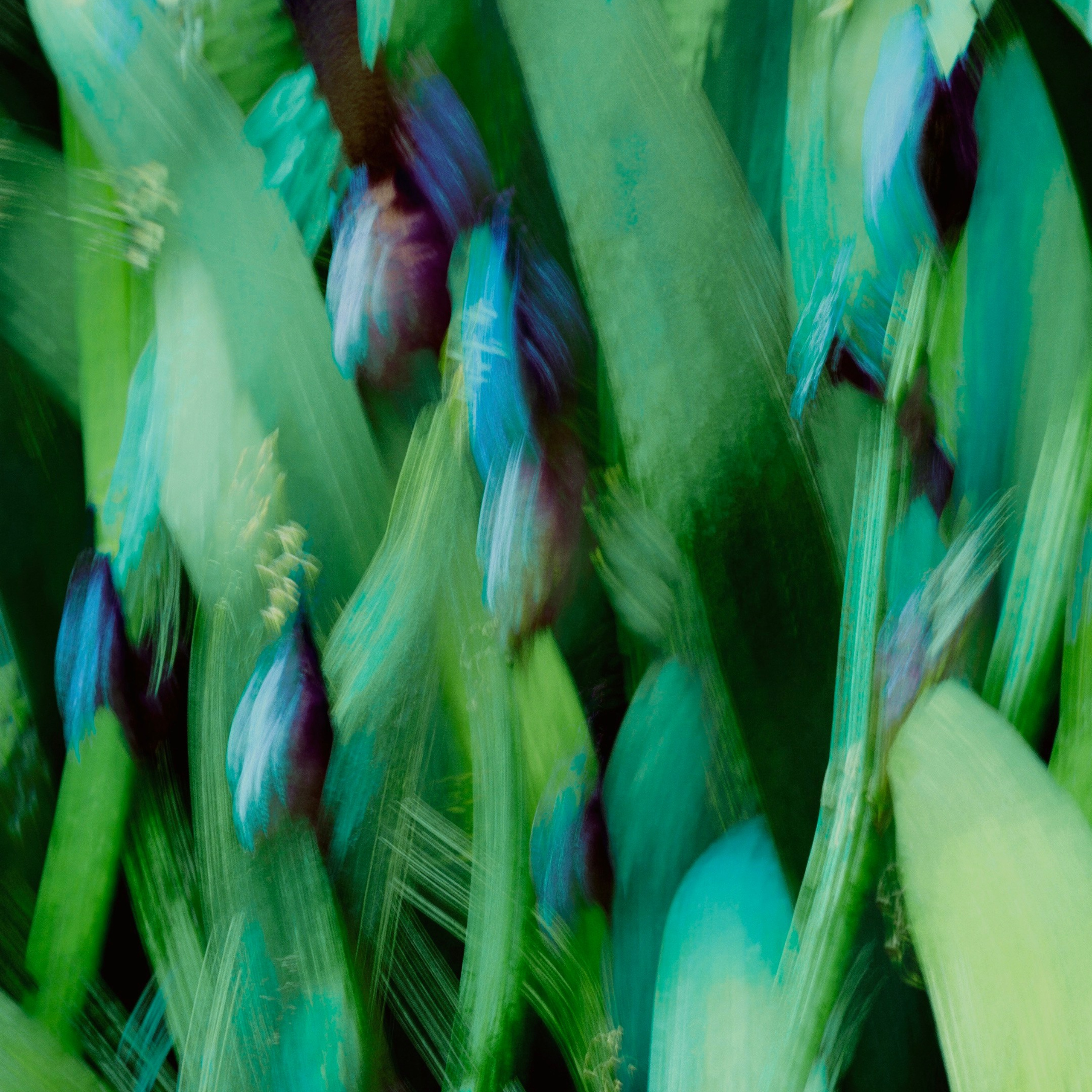 GREEN GREEN WORLD. Ширяева Ольга