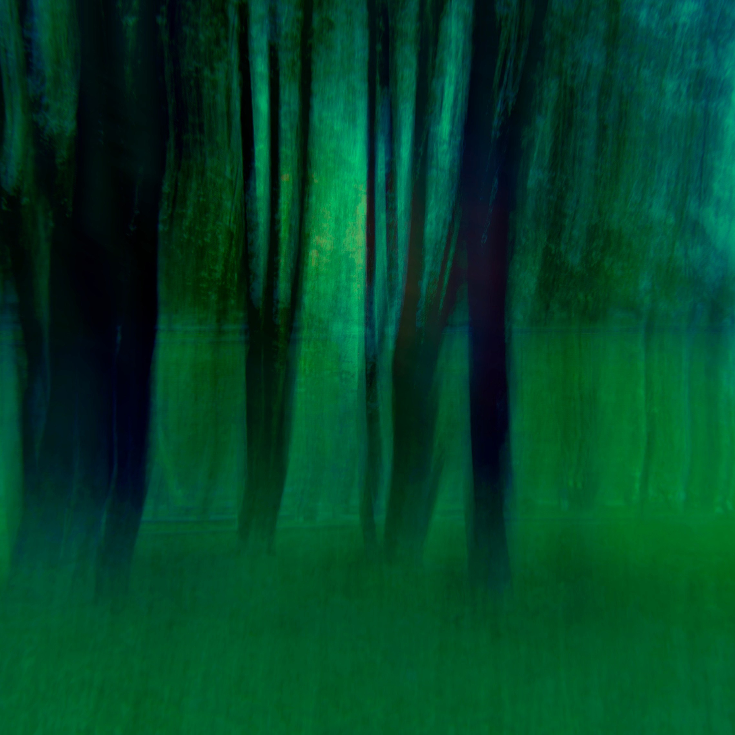 GREEN GREEN WORLD. Ширяева Ольга