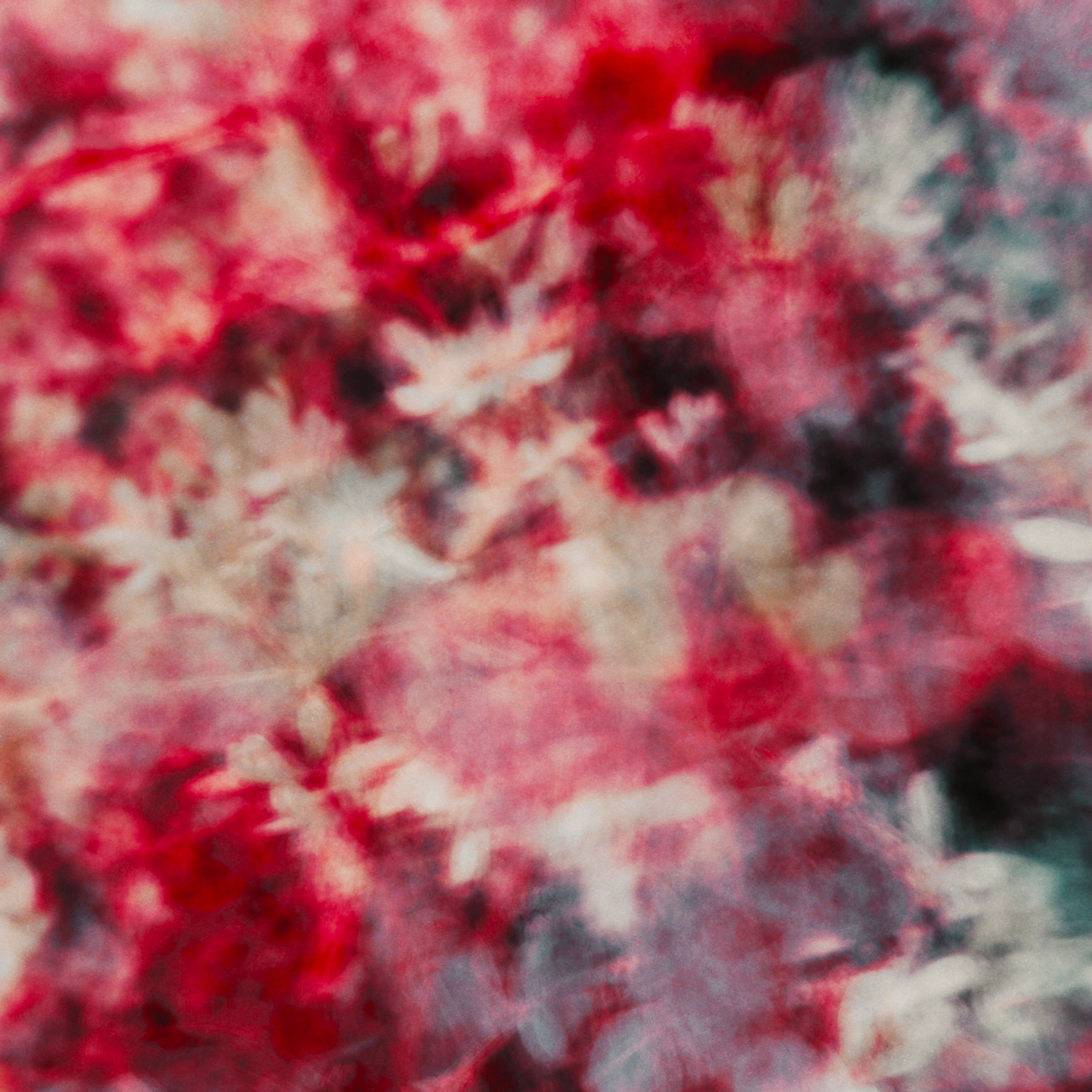 IT'S RED!. Ширяева Ольга