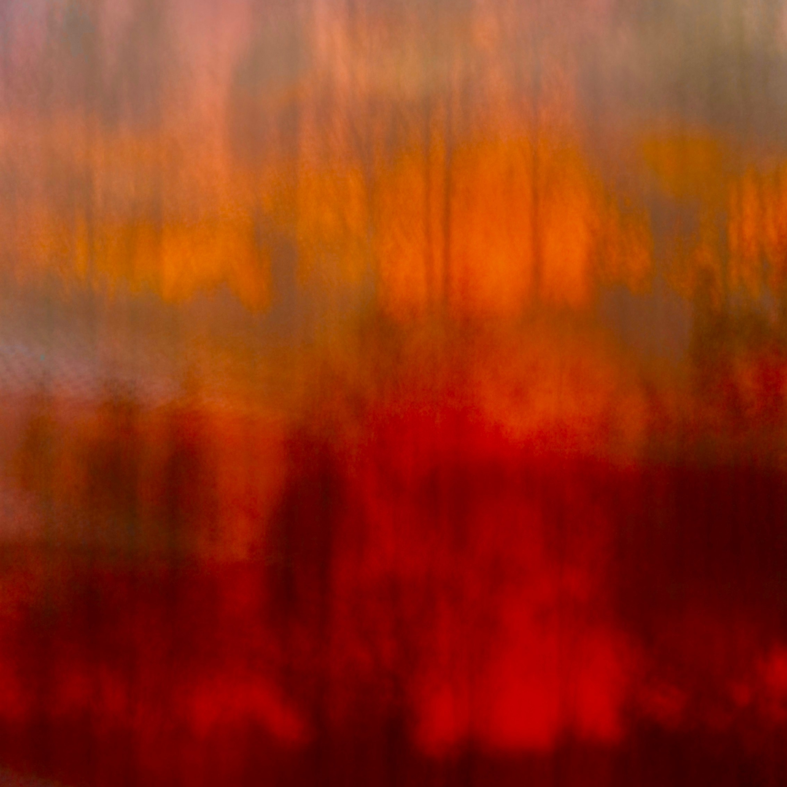 IT'S RED!. Ширяева Ольга