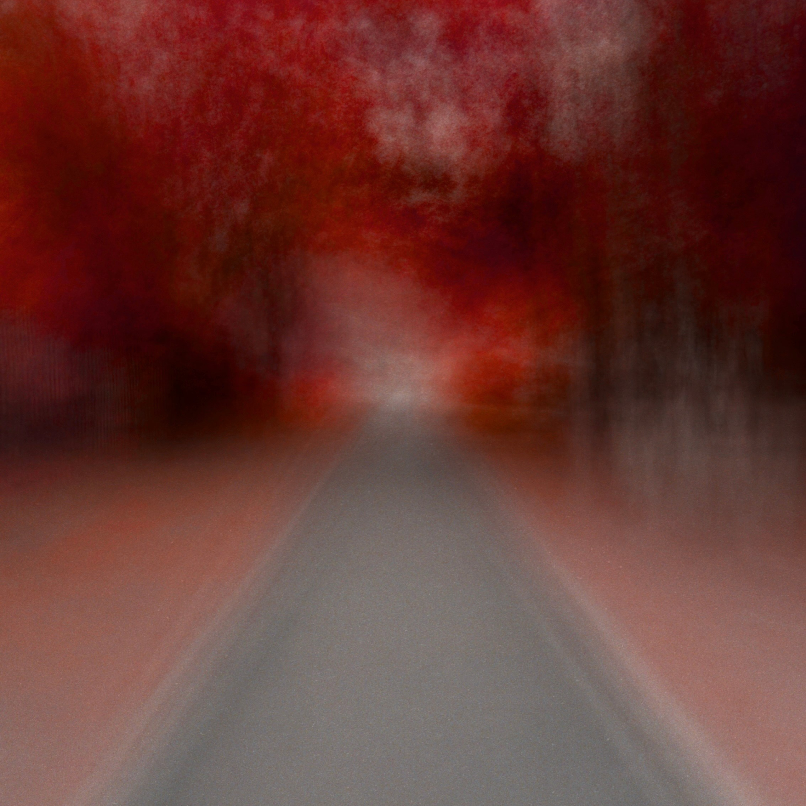 IT'S RED!. Ширяева Ольга