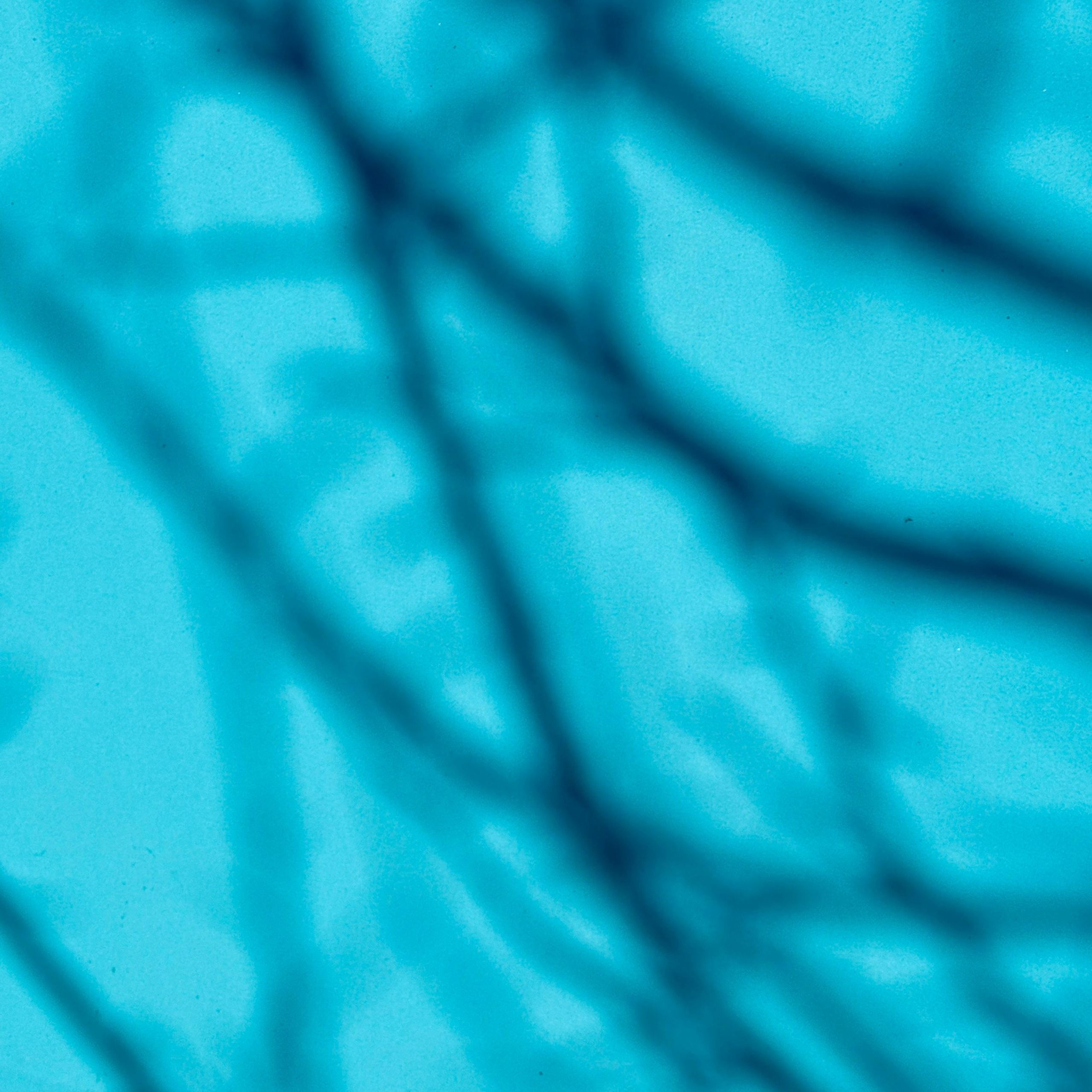 MY BLUE. Ширяева Ольга