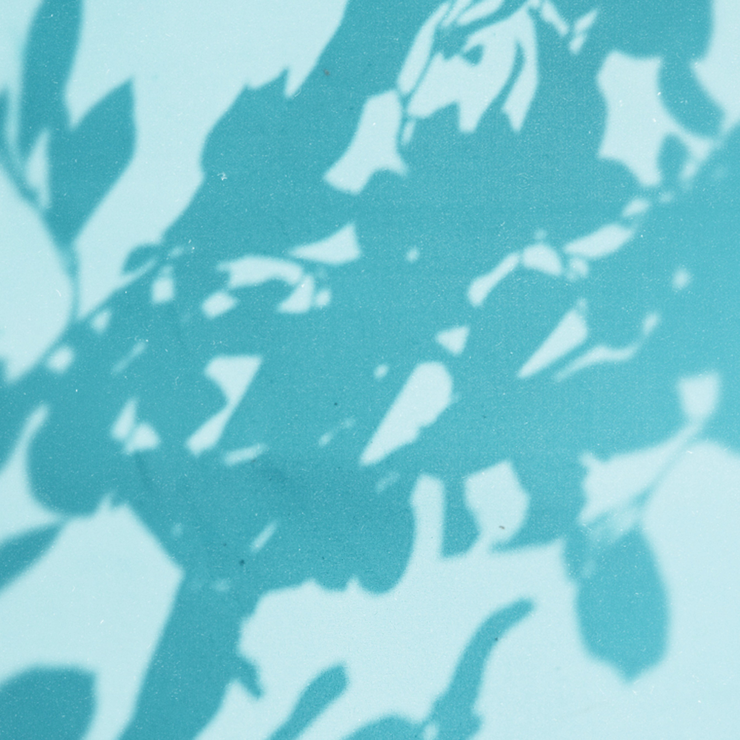 MY BLUE. Ширяева Ольга