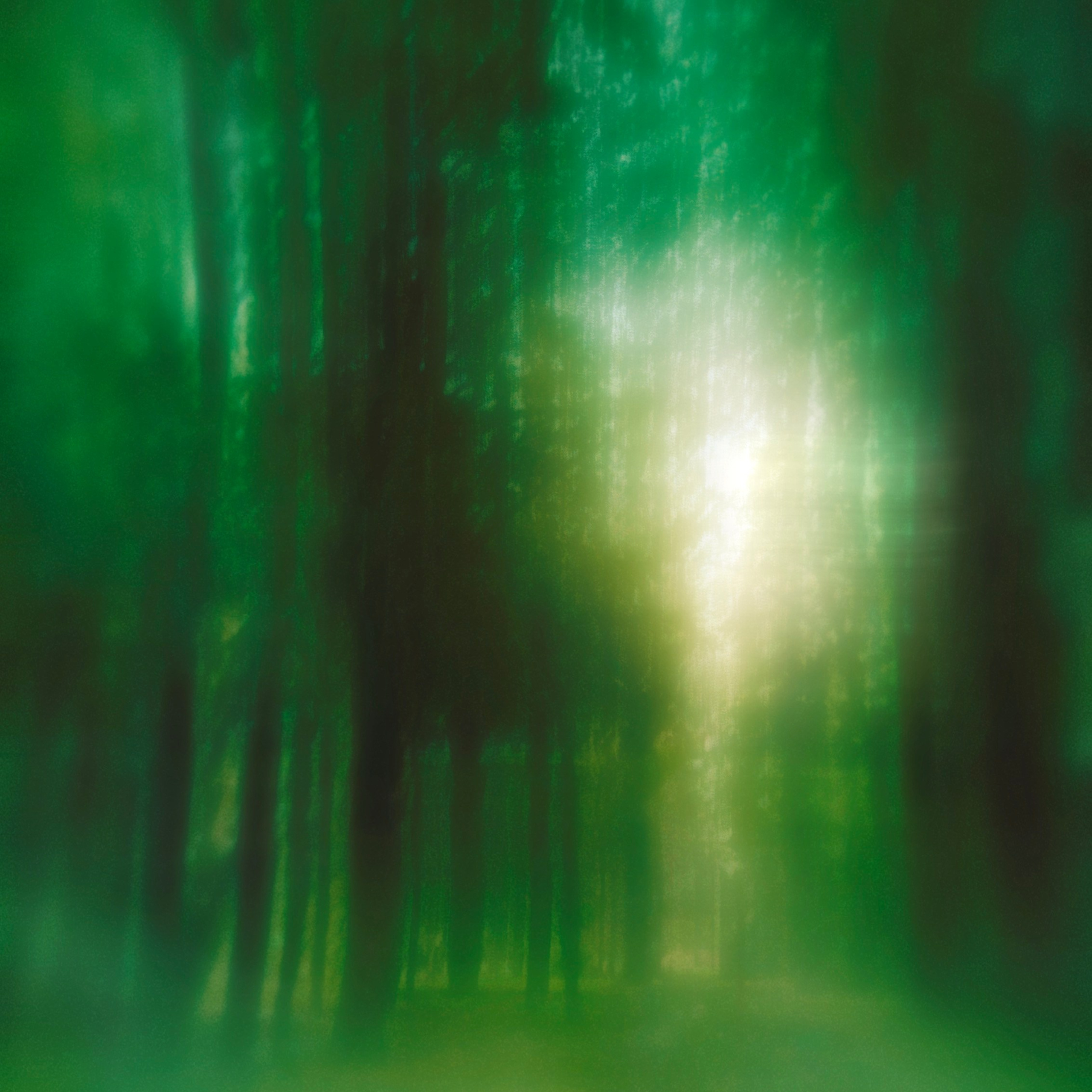 GREEN GREEN WORLD. Ширяева Ольга