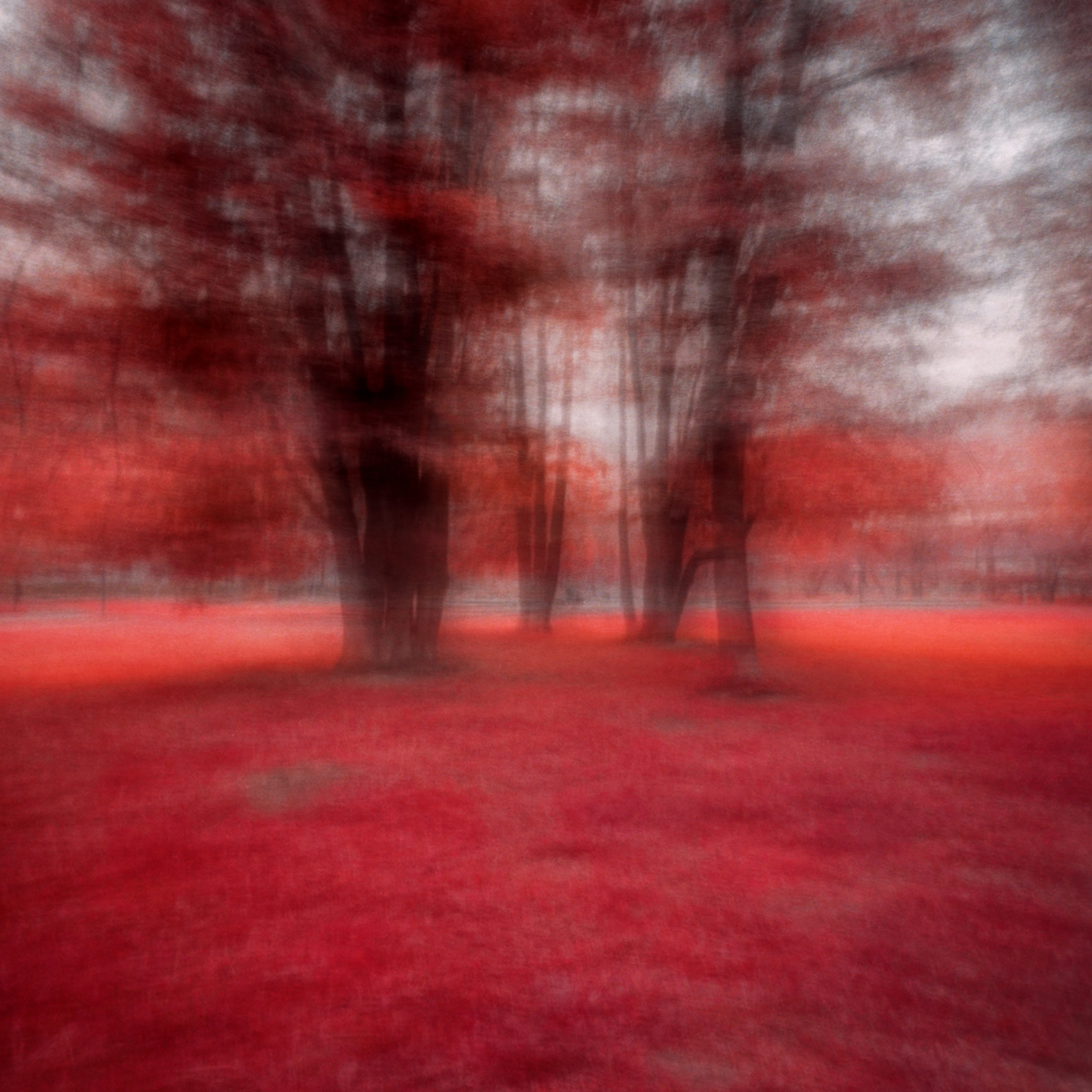 IT'S RED!. Ширяева Ольга