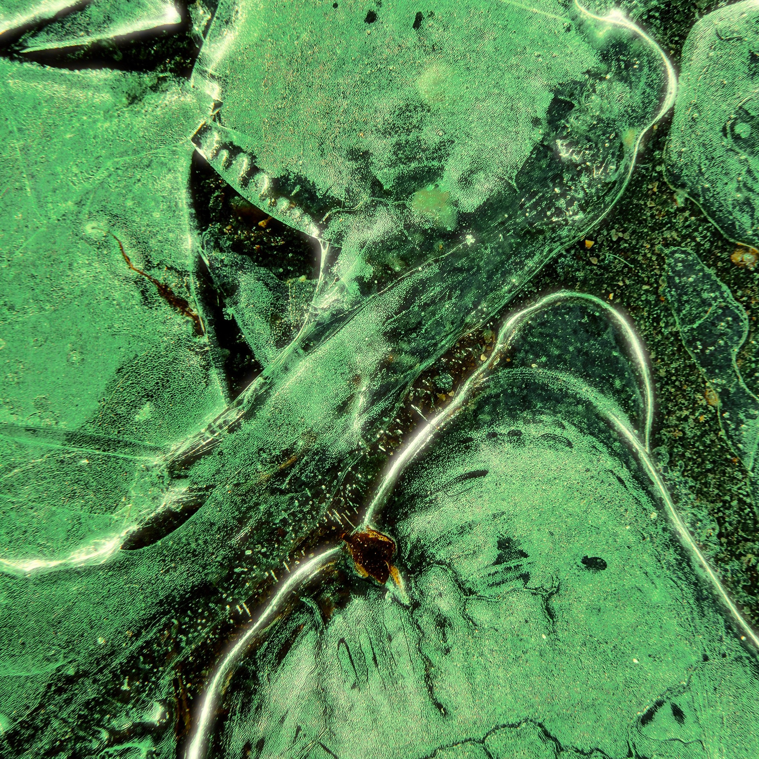 GREEN GREEN WORLD. Ширяева Ольга