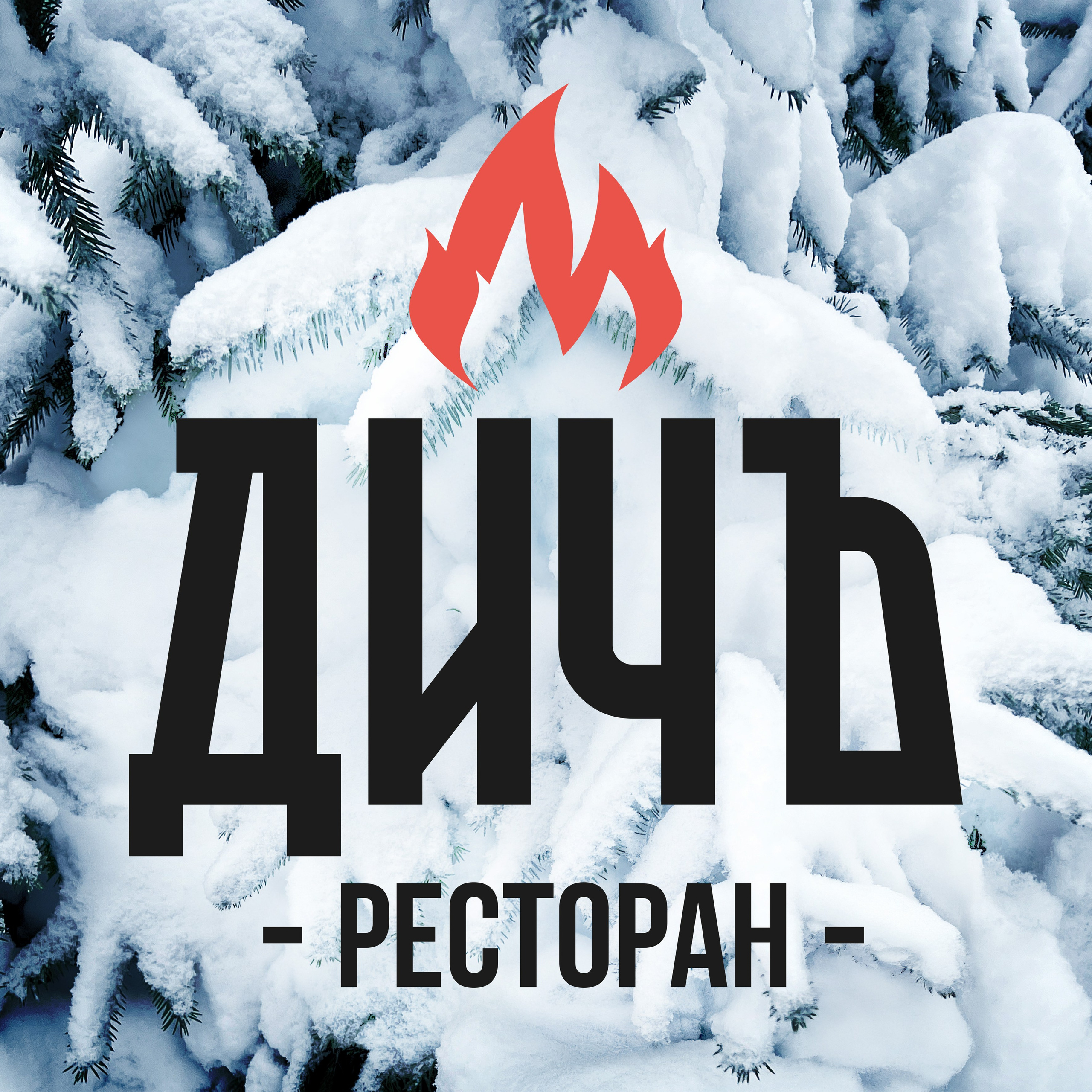 Рекламные макеты