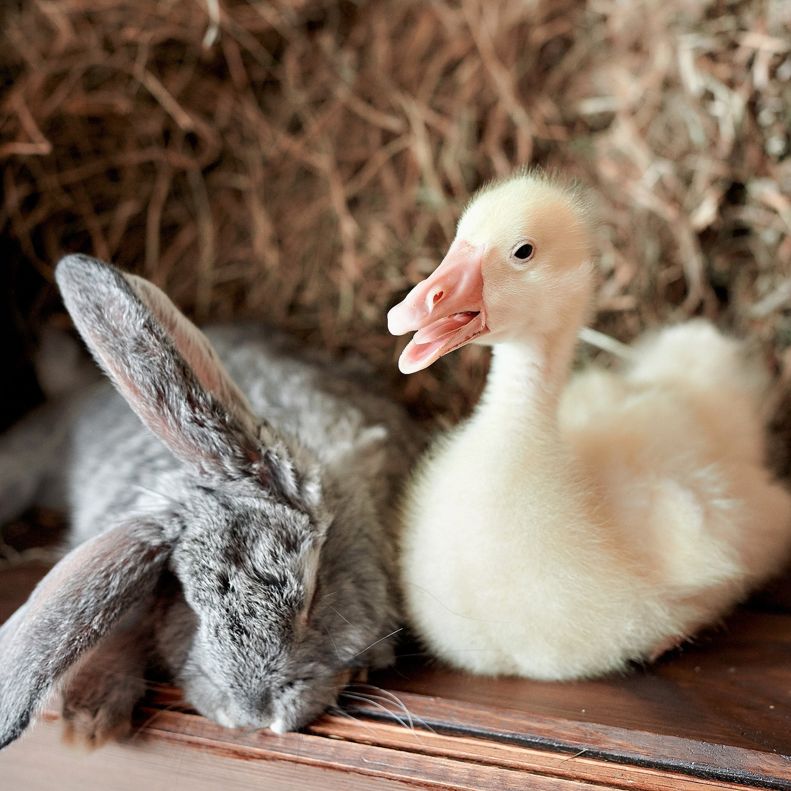 Отзывы. Фотограф Меняйло Евгений. Свадьба. Портрет. Репортаж. Семья. Контент