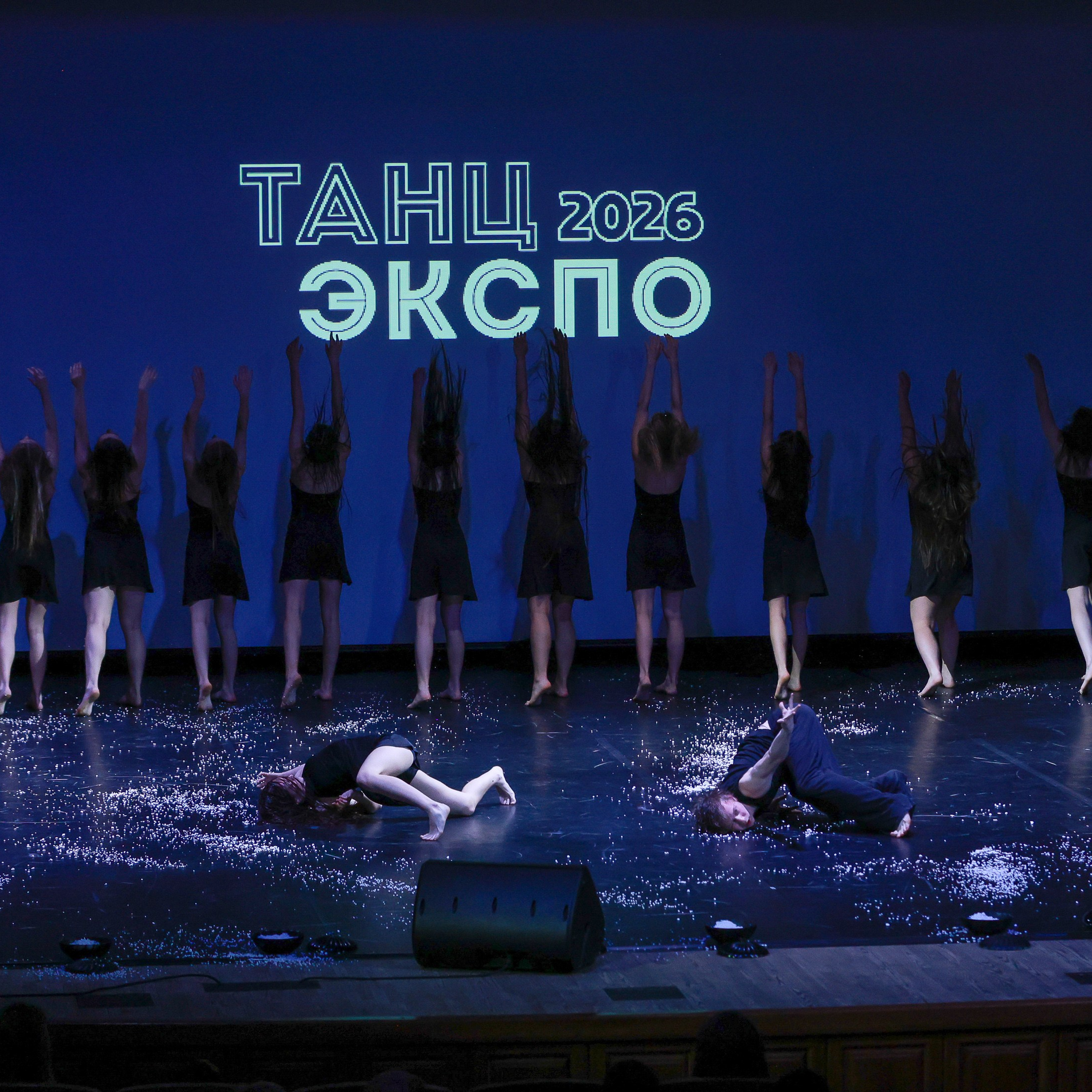 Небесные ласточки на&nbsp;Танц ЭКСПО 2026