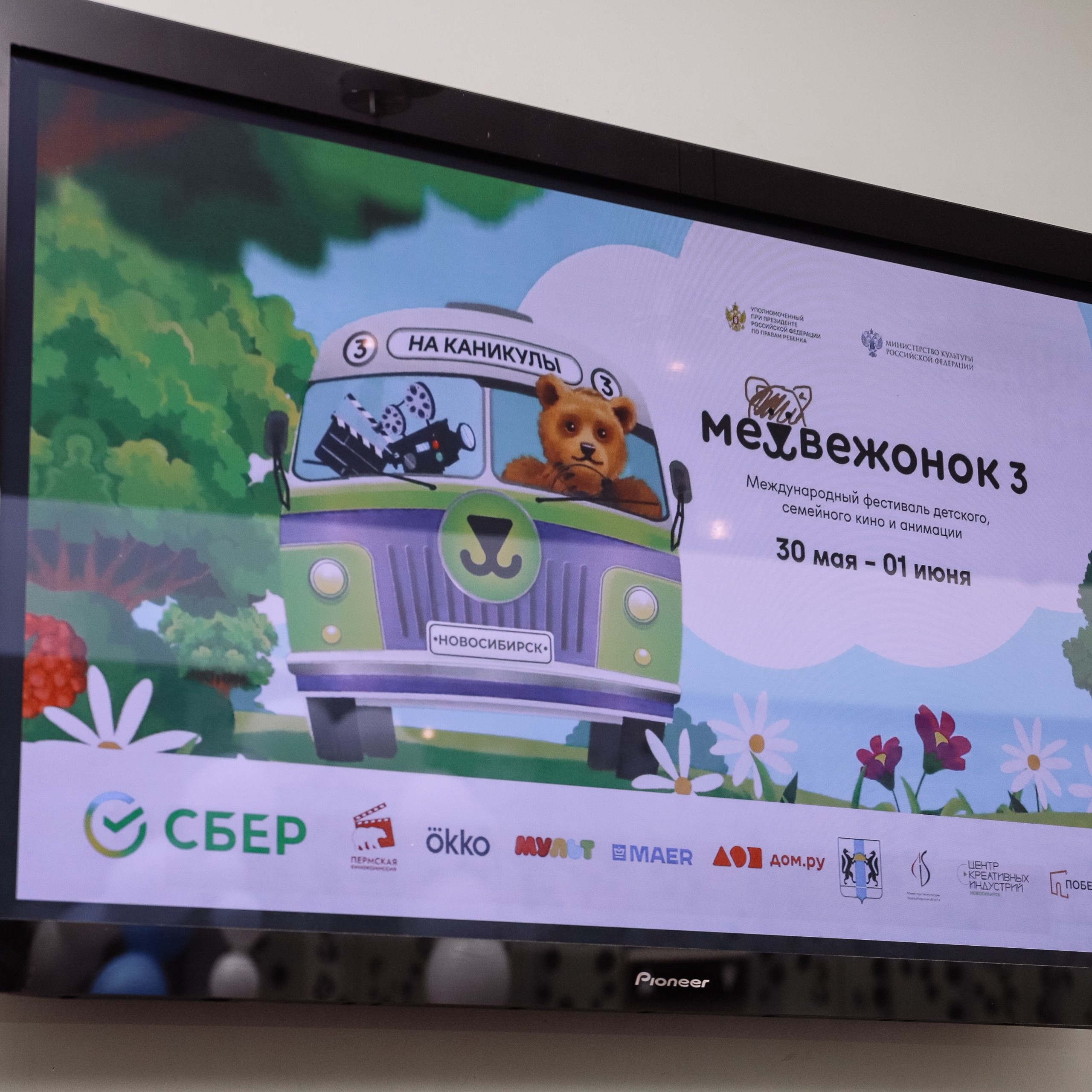 Кинофестиваль Медвежонок в Победе
