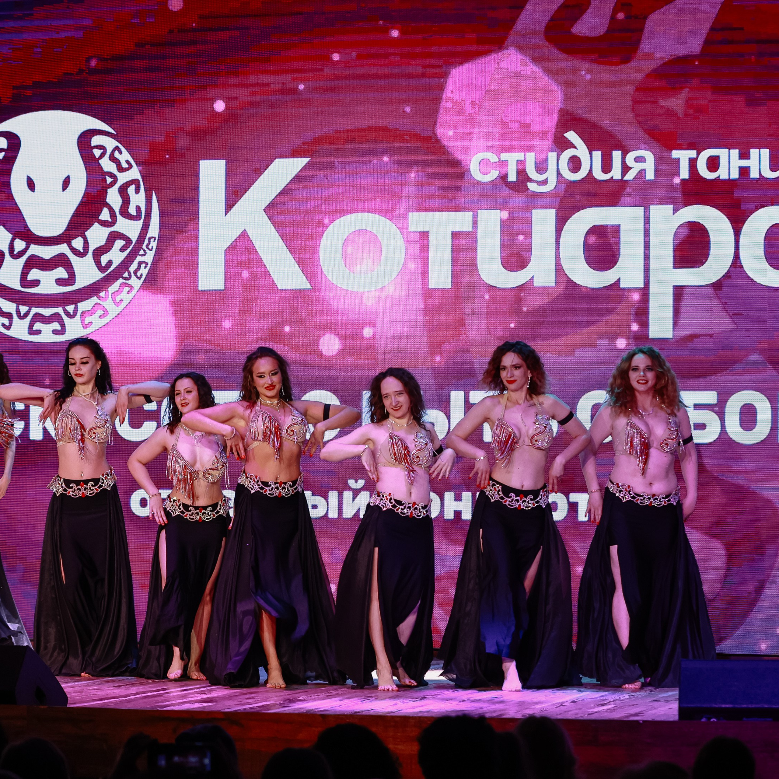 Котиара _ Отчетник