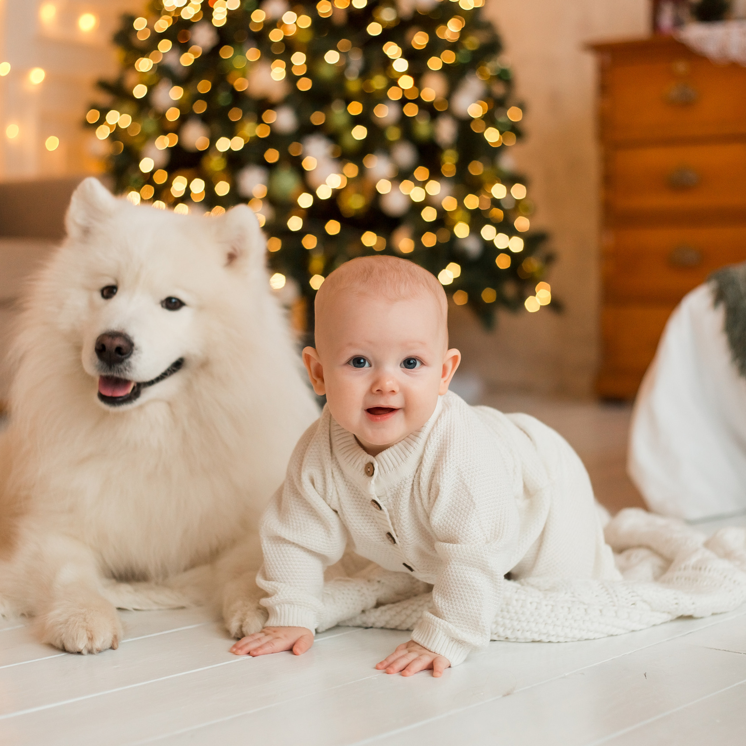 Отзывы фотограф Омск I Профессиональный фотограф. Детский и семейный фотограф Кристина Сивер