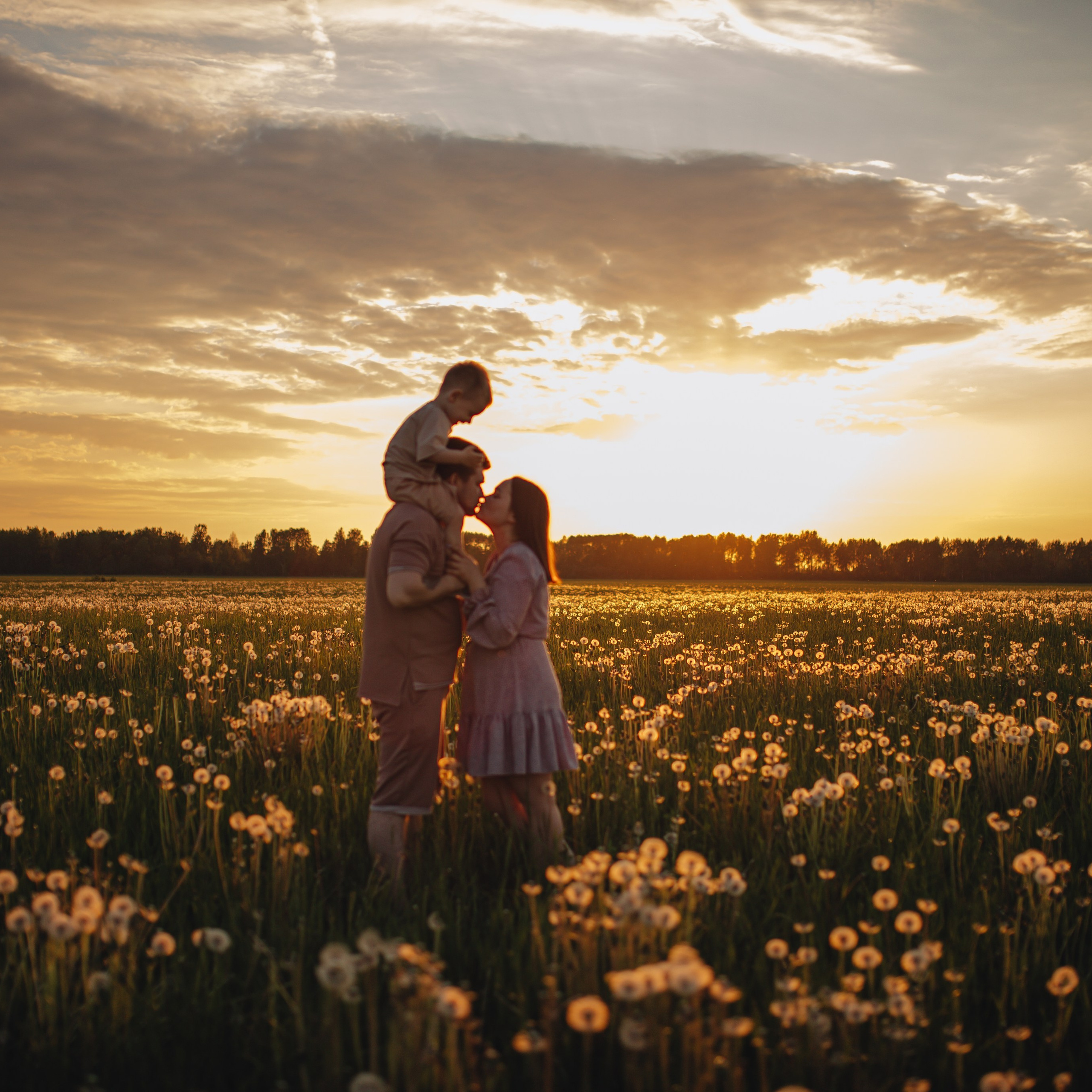 В поле на закате