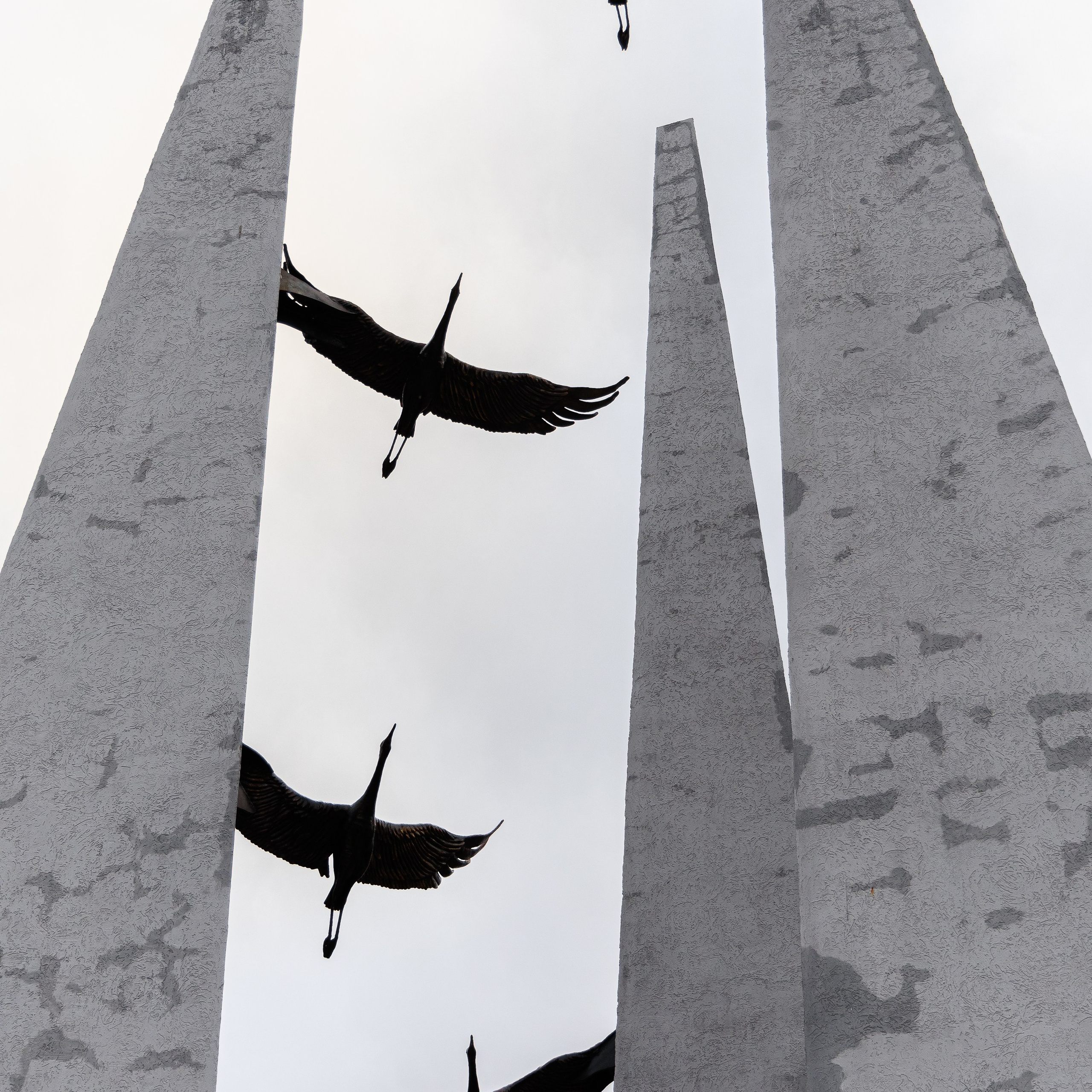 Фотоэкспедиция для ЯндексКарты в г. Новашино