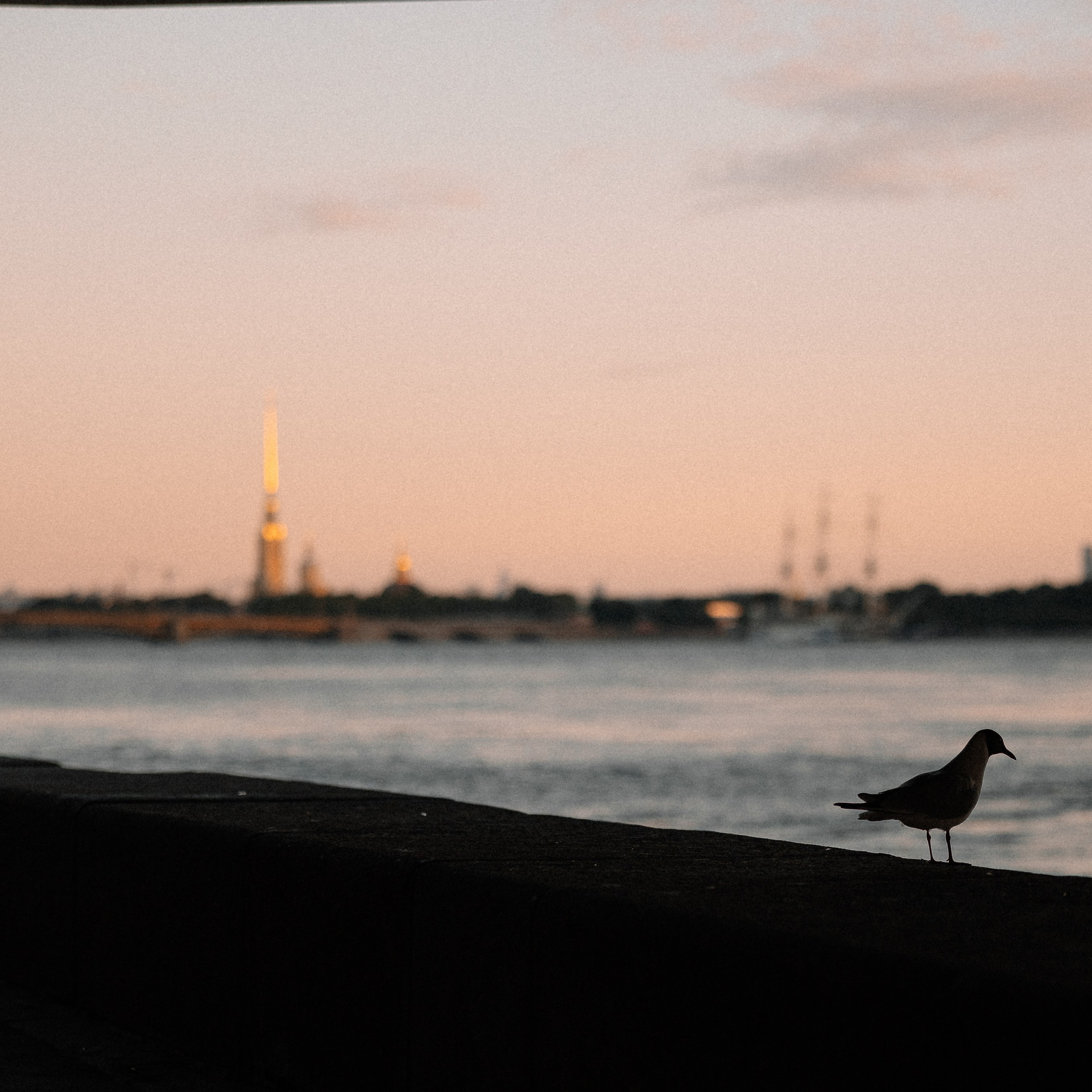 Улыбаясь в Питере