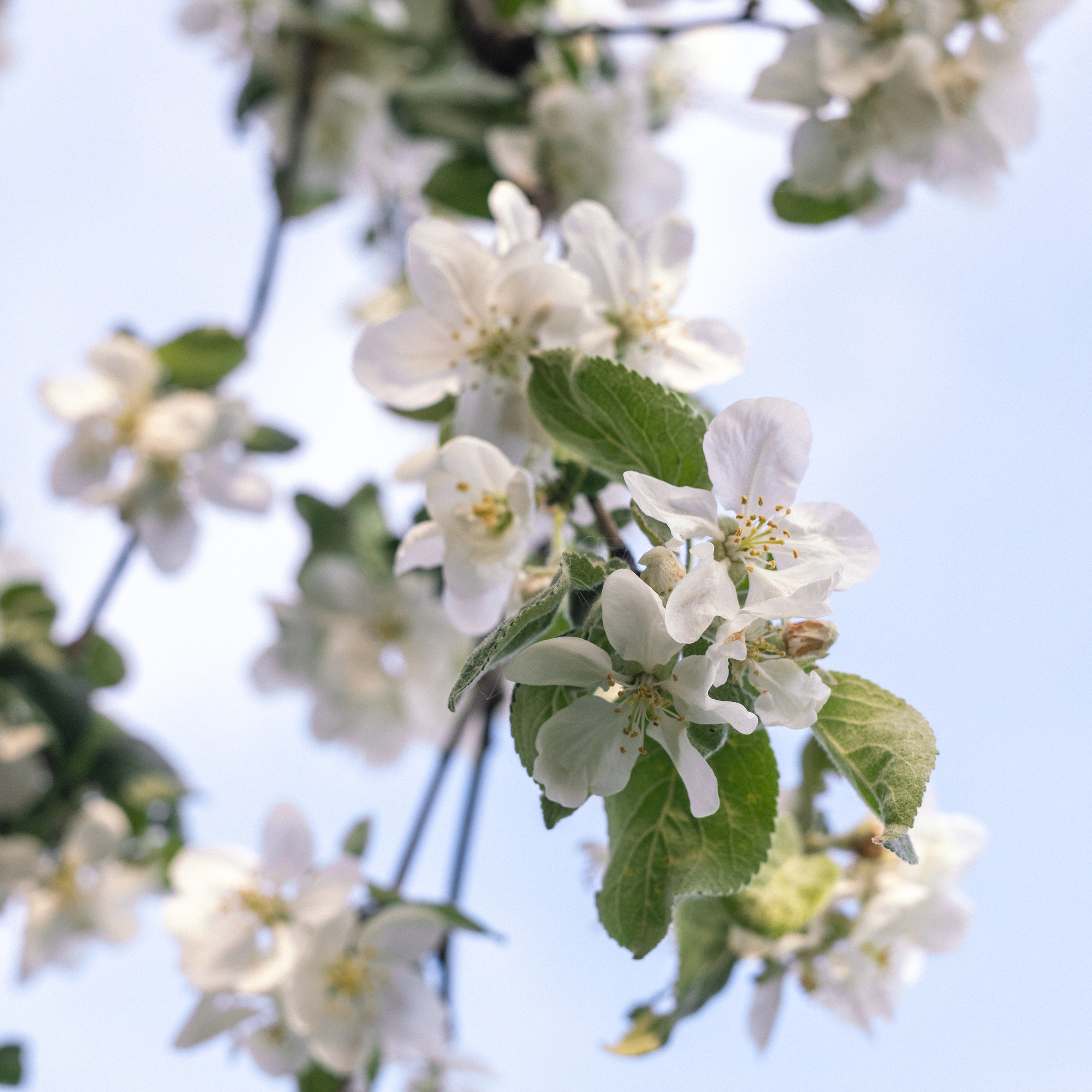 Отзывы. Фотограф Алина Гашникова