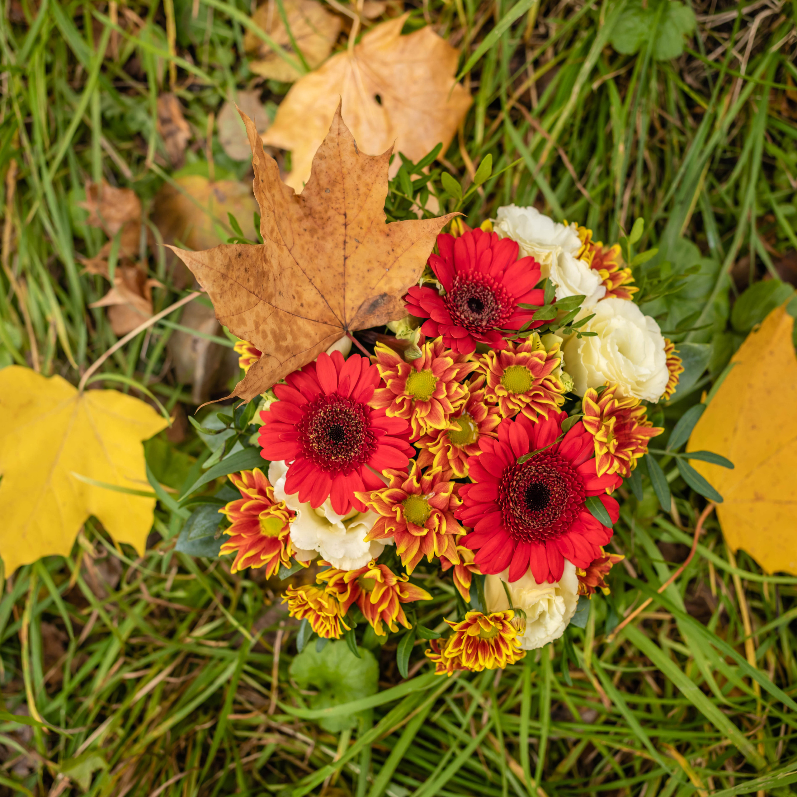 Отзывы. Фотограф Алина Гашникова