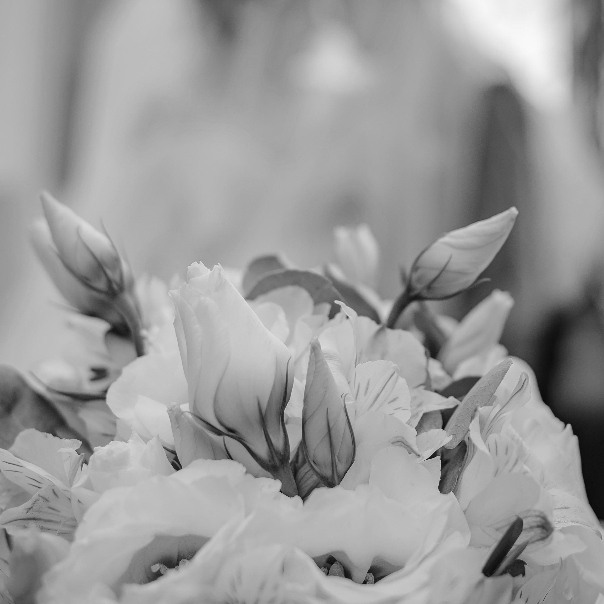 Свадебная фотосессия, свадебный фотограф, фотограф Москва, Карина Шарова,. Фотограф Карина Шарова Москва