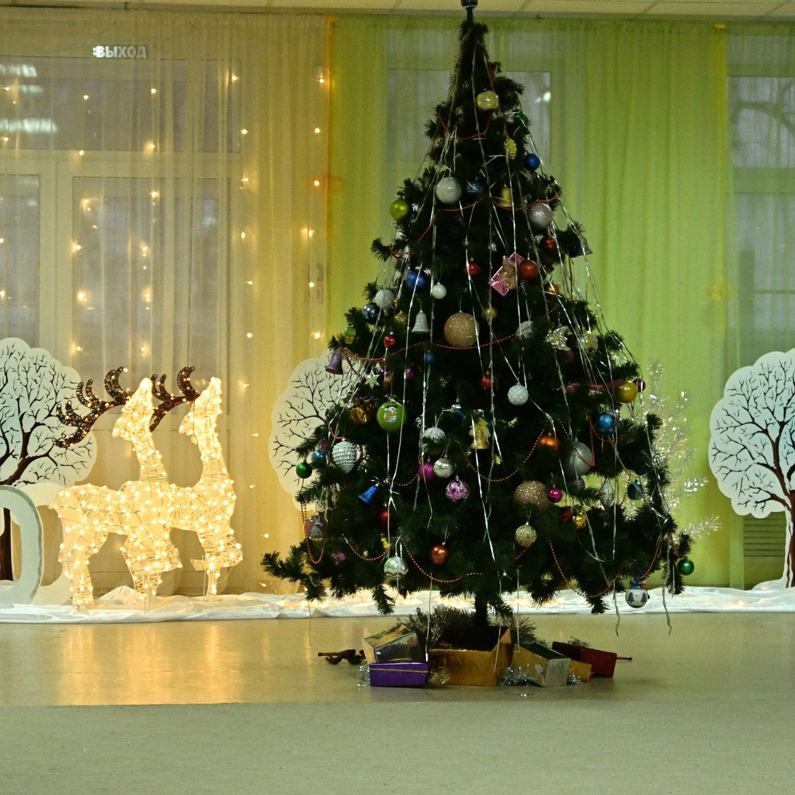 Отзывы. Фотограф Нижний Новгород, Богородск — Петрова Татьяна