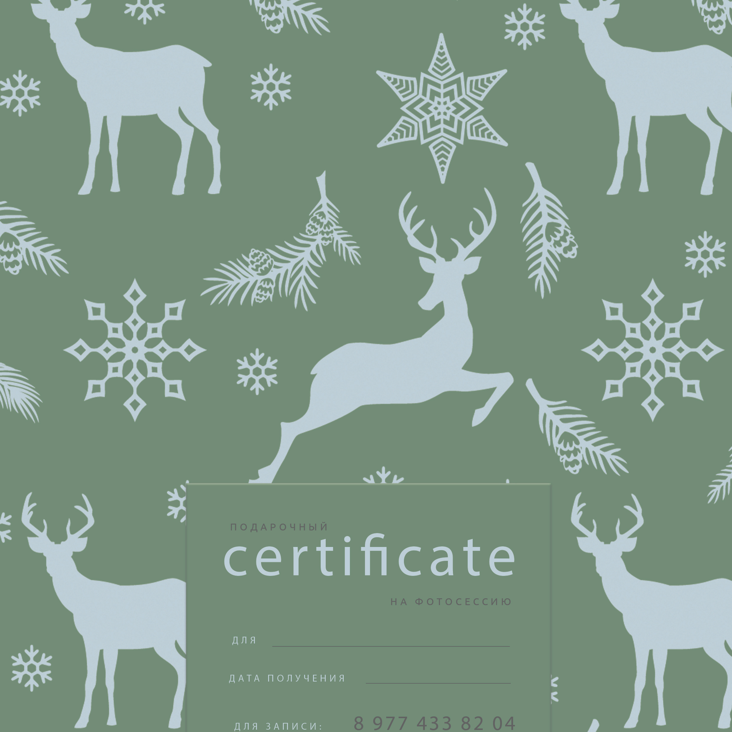 Отзывы о работе фотографа. Фотограф в Подольске — Мария Бучнева