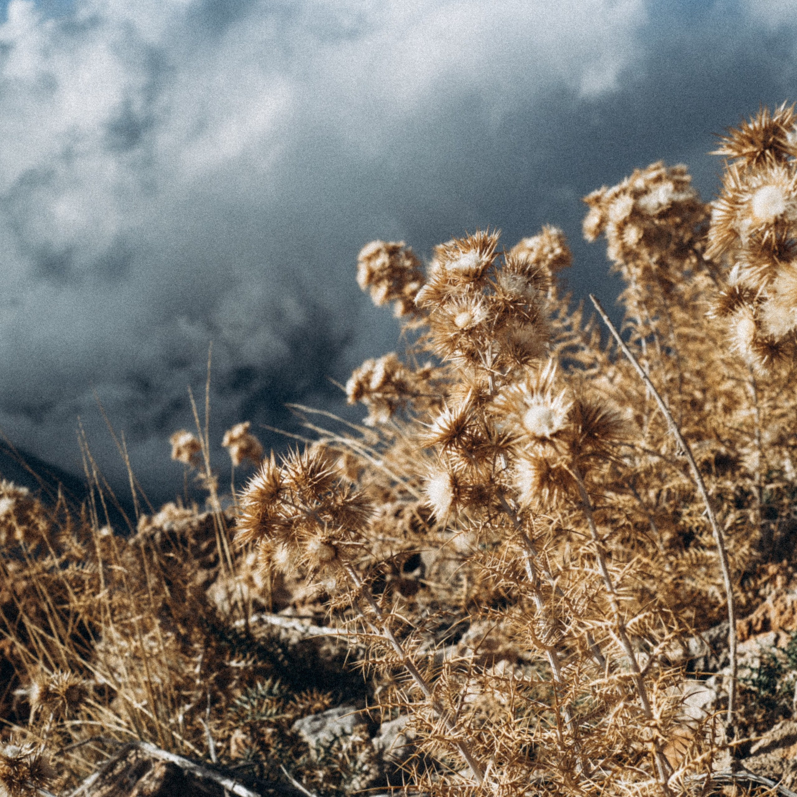 Ликийская Тропа 🇹🇷 Восточная Часть. Anita_photo