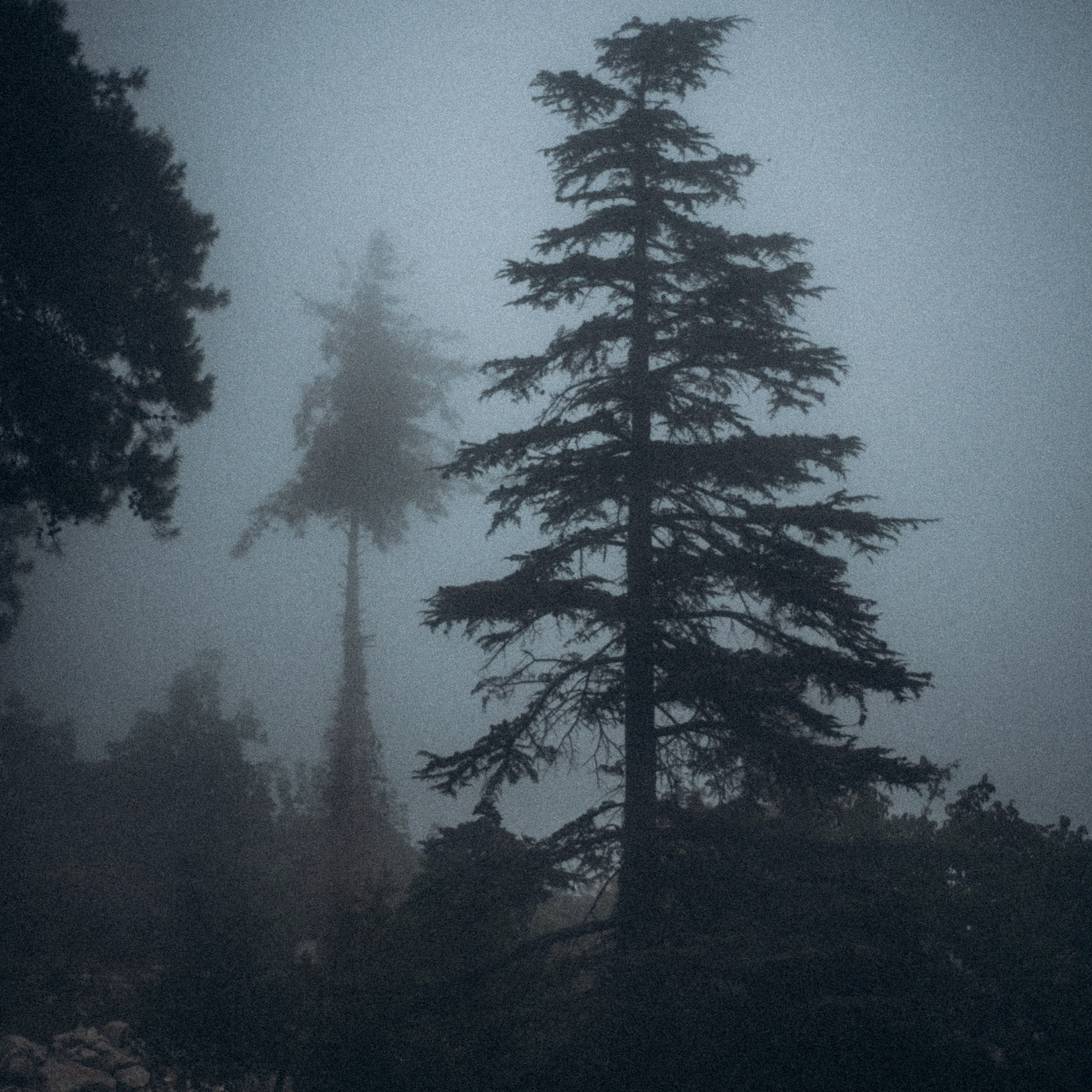 Ликийская Тропа 🇹🇷 Восточная Часть. Anita_photo