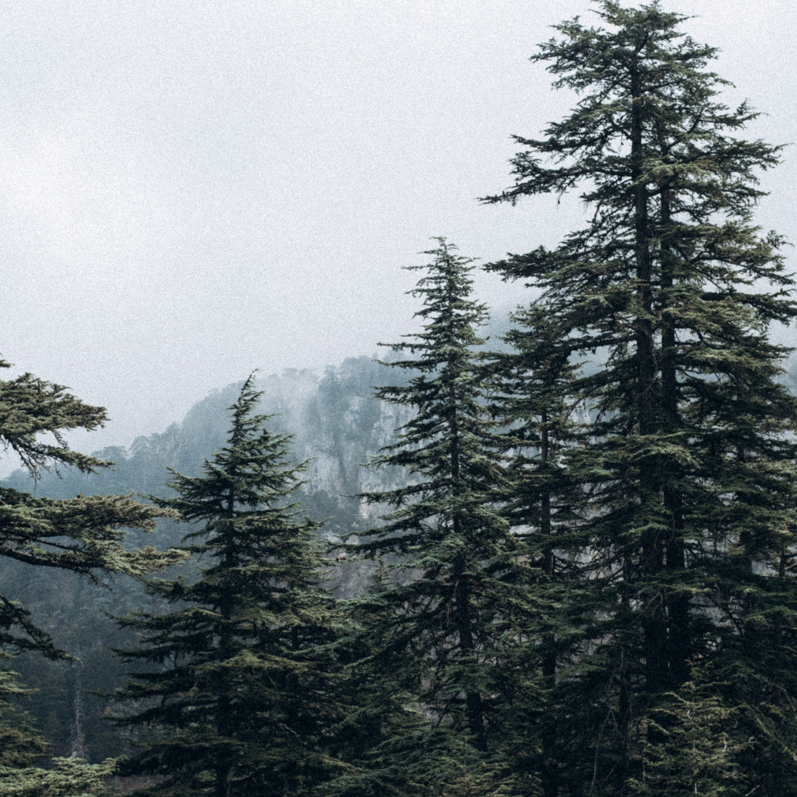 Ликийская Тропа 🇹🇷 Восточная Часть. Anita_photo