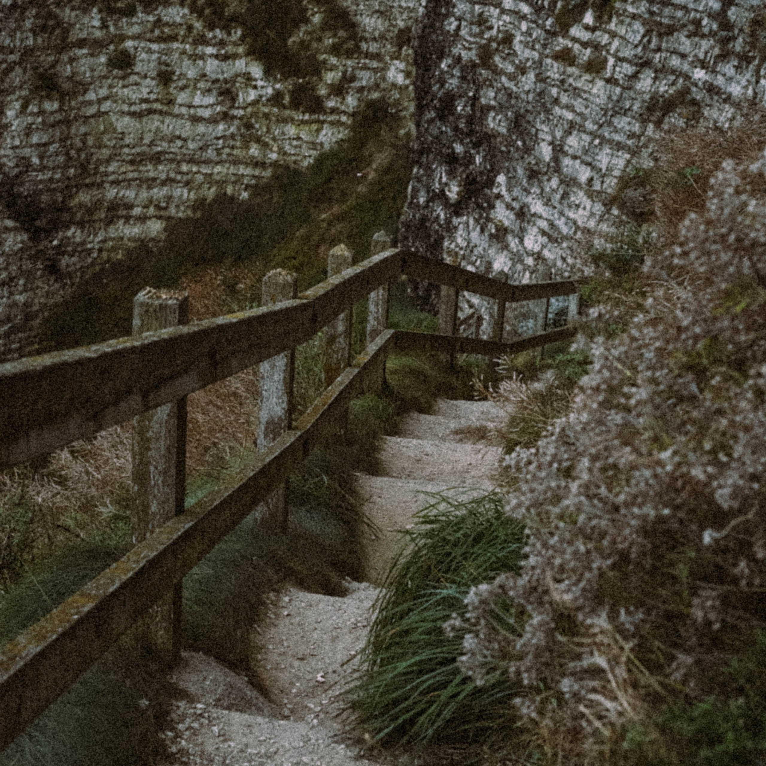 Нормандия, Франция 2025. Anita_photo