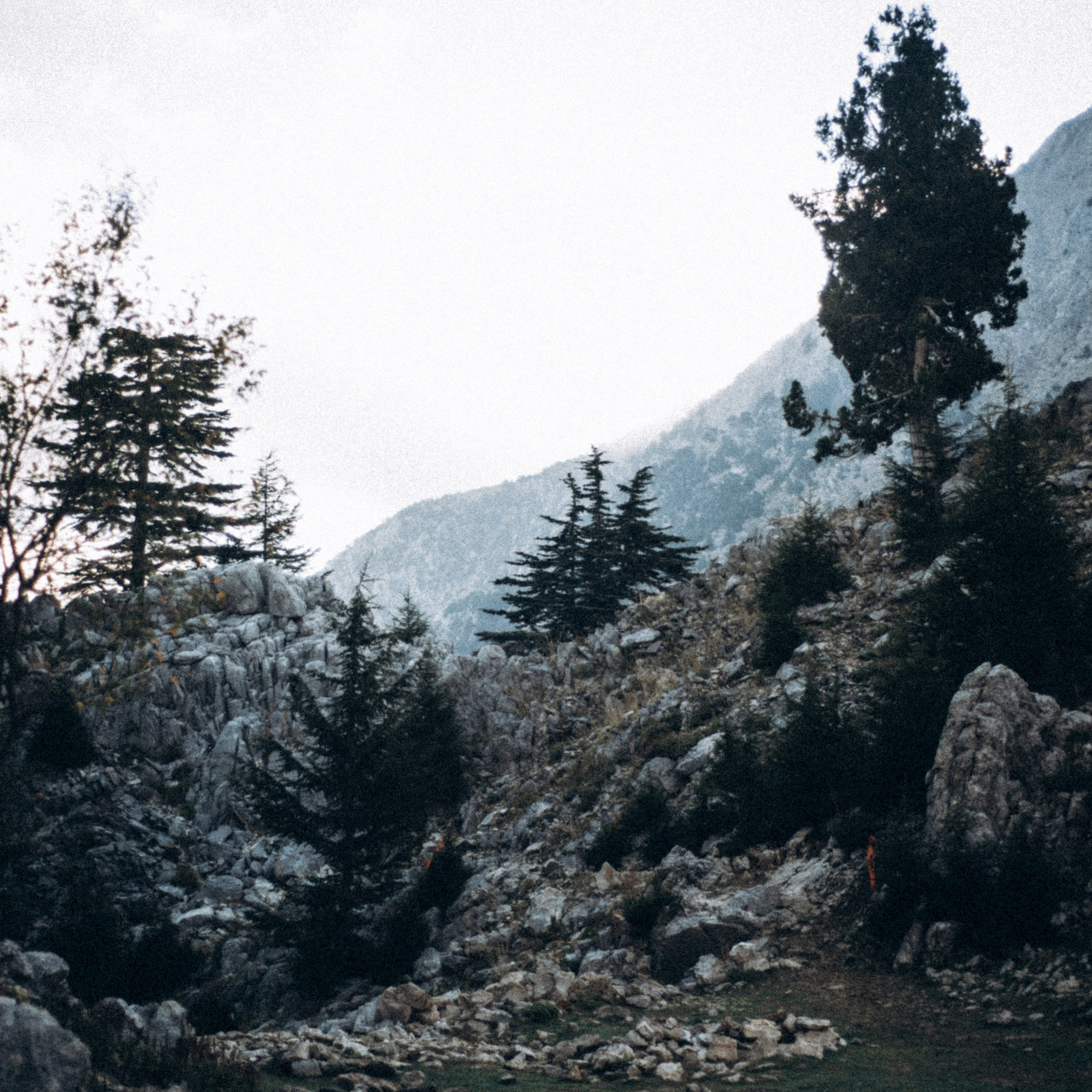 Ликийская Тропа 🇹🇷 Восточная Часть. Anita_photo
