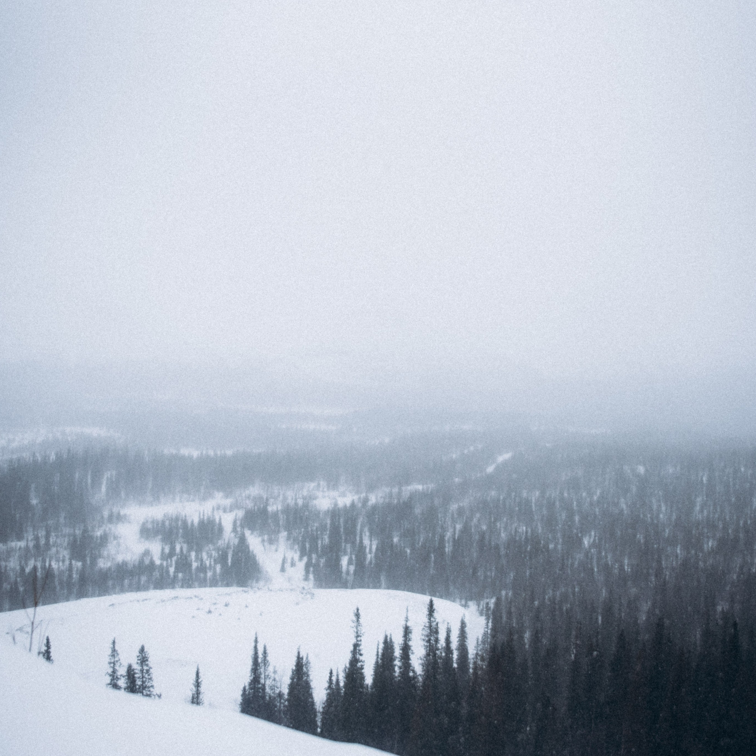 Мурманск. Anita_photo