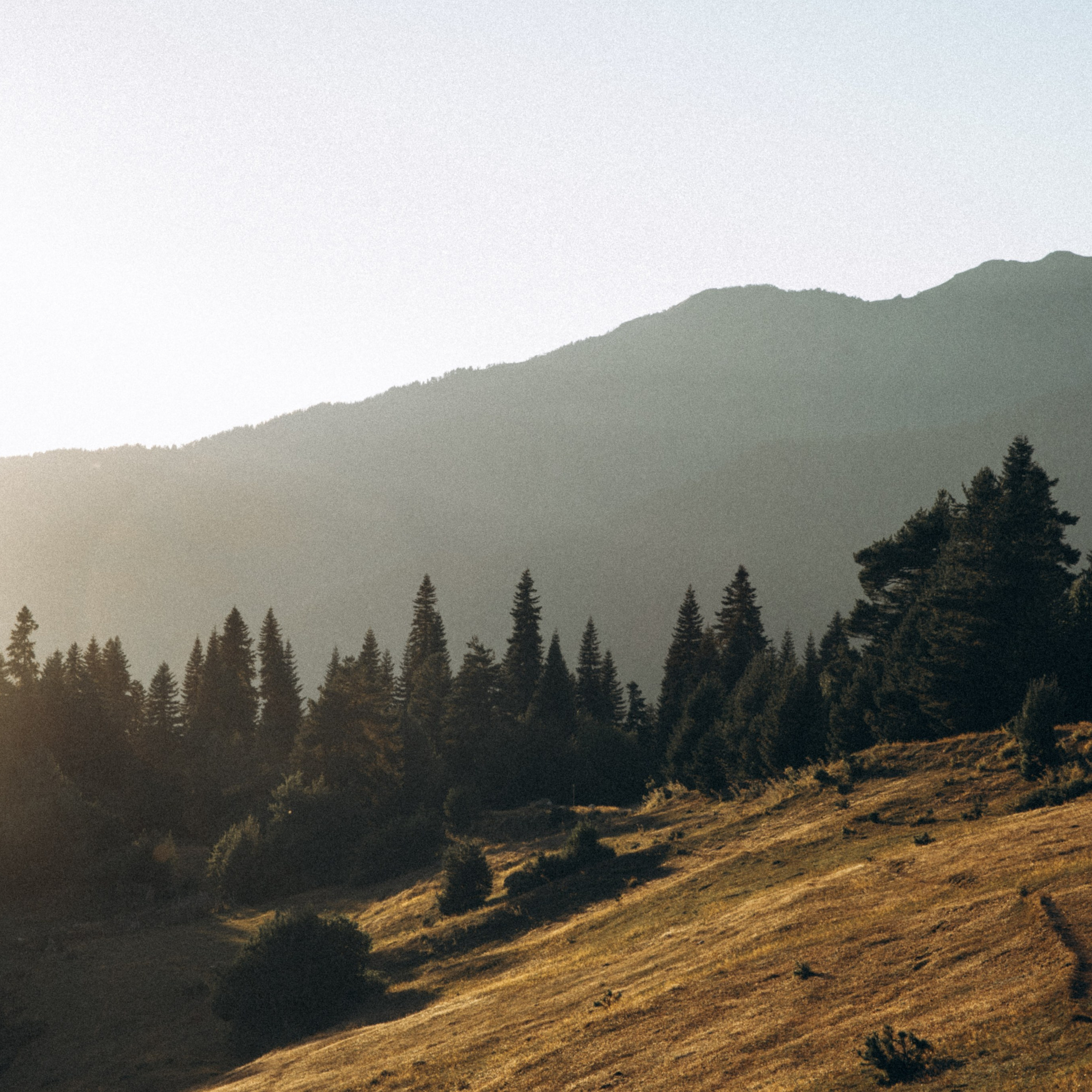 Сванетия, Грузия 🇬🇪. Anita_photo