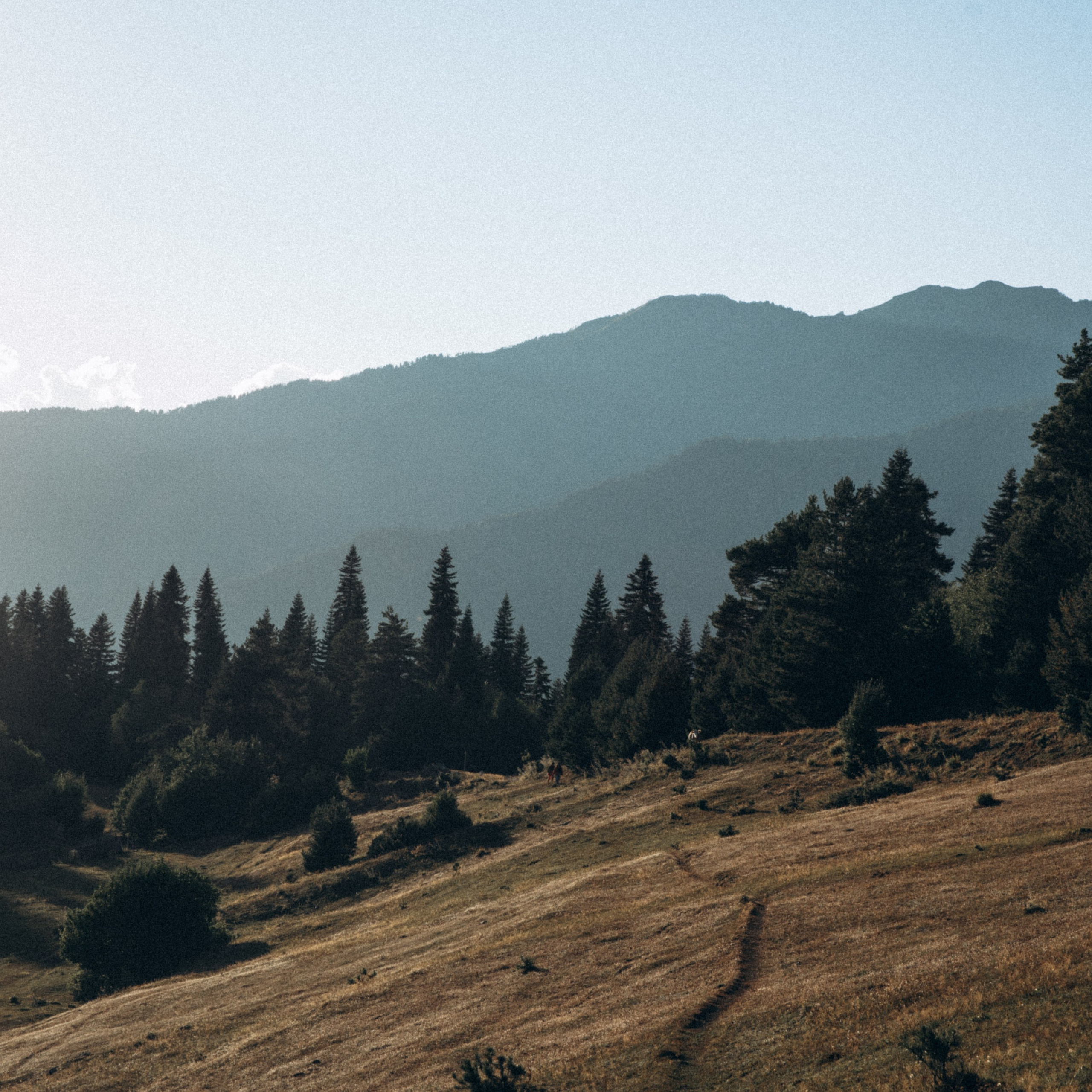 Сванетия, Грузия 🇬🇪. Anita_photo