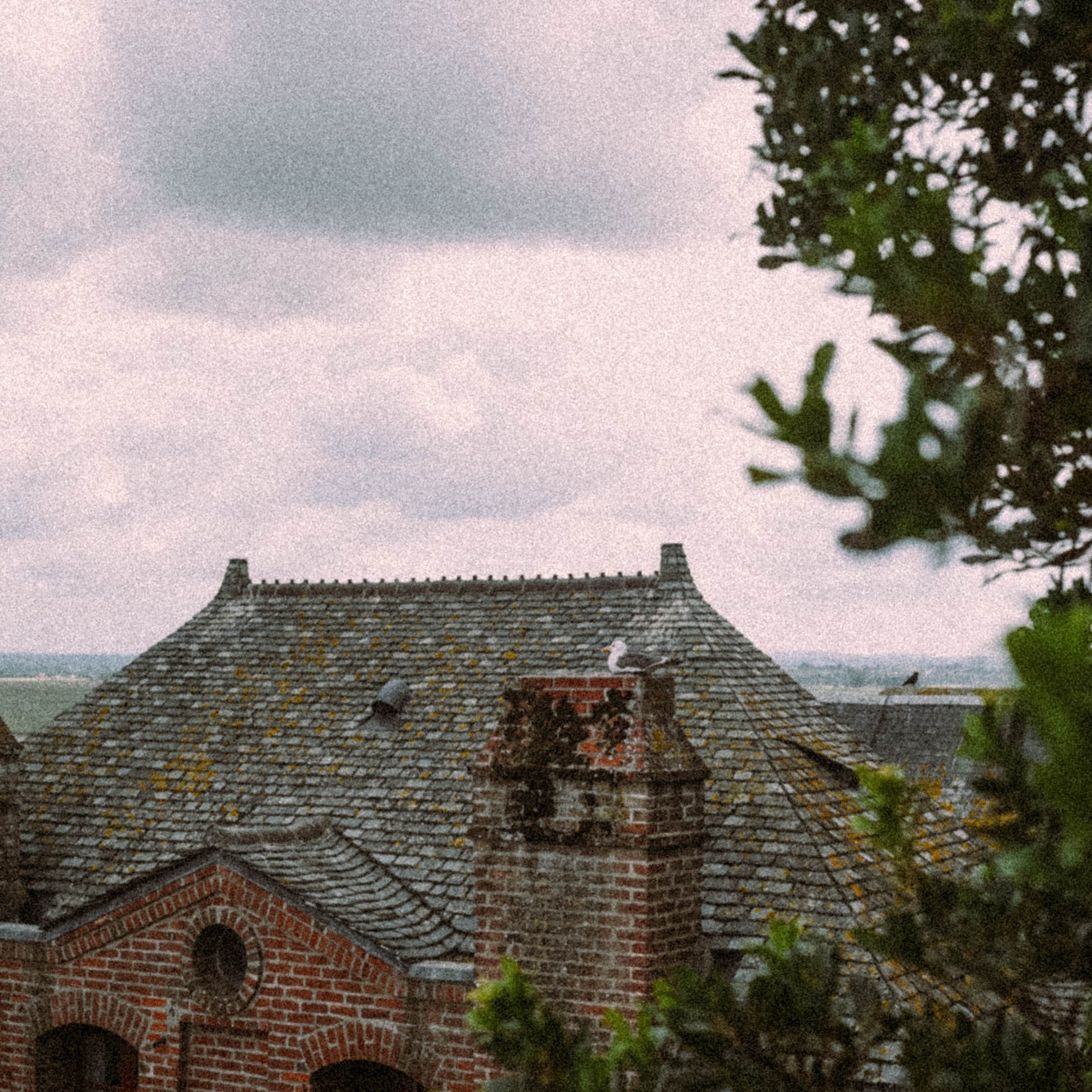 Нормандия, Франция 2025. Anita_photo