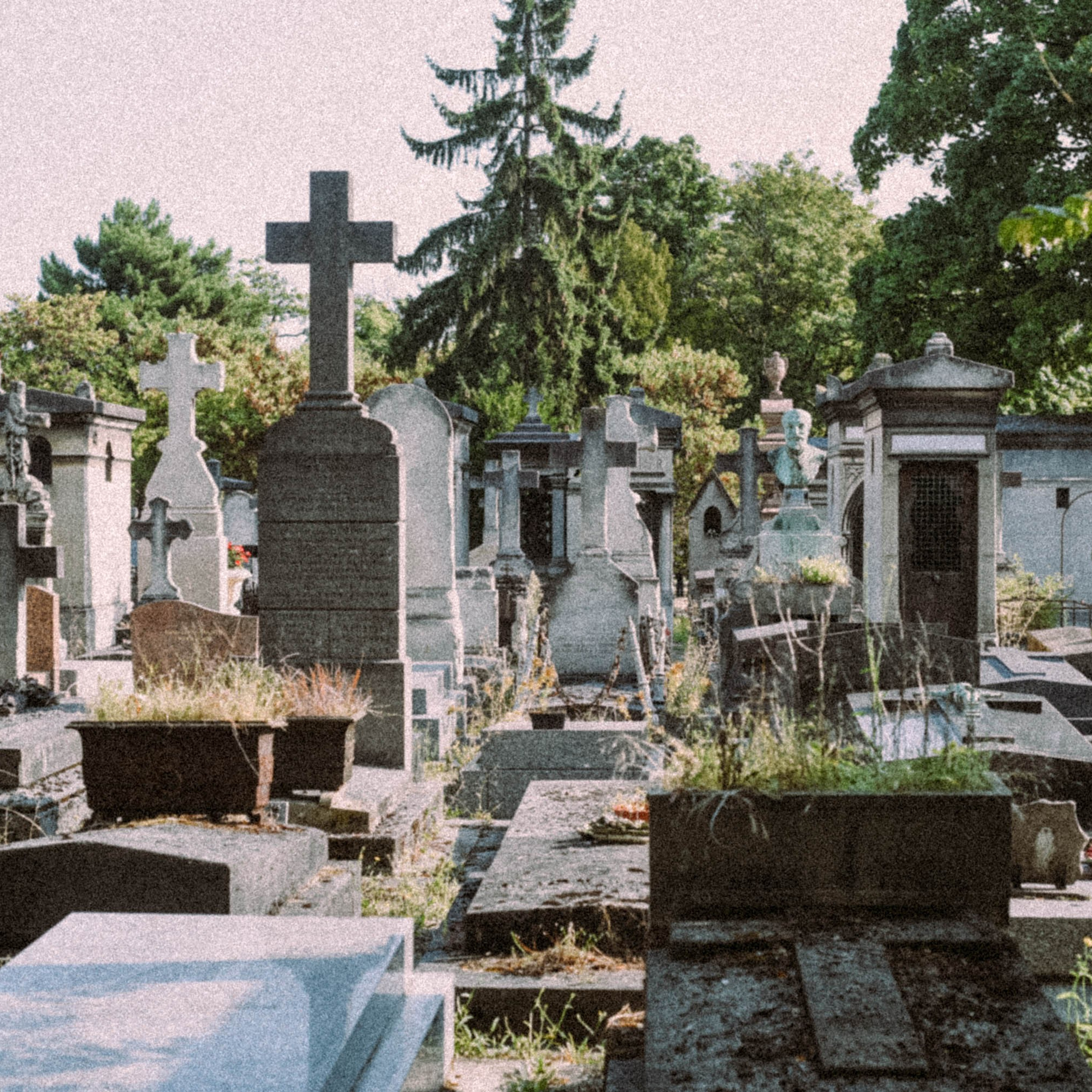 Париж, Франция 2025. Anita_photo