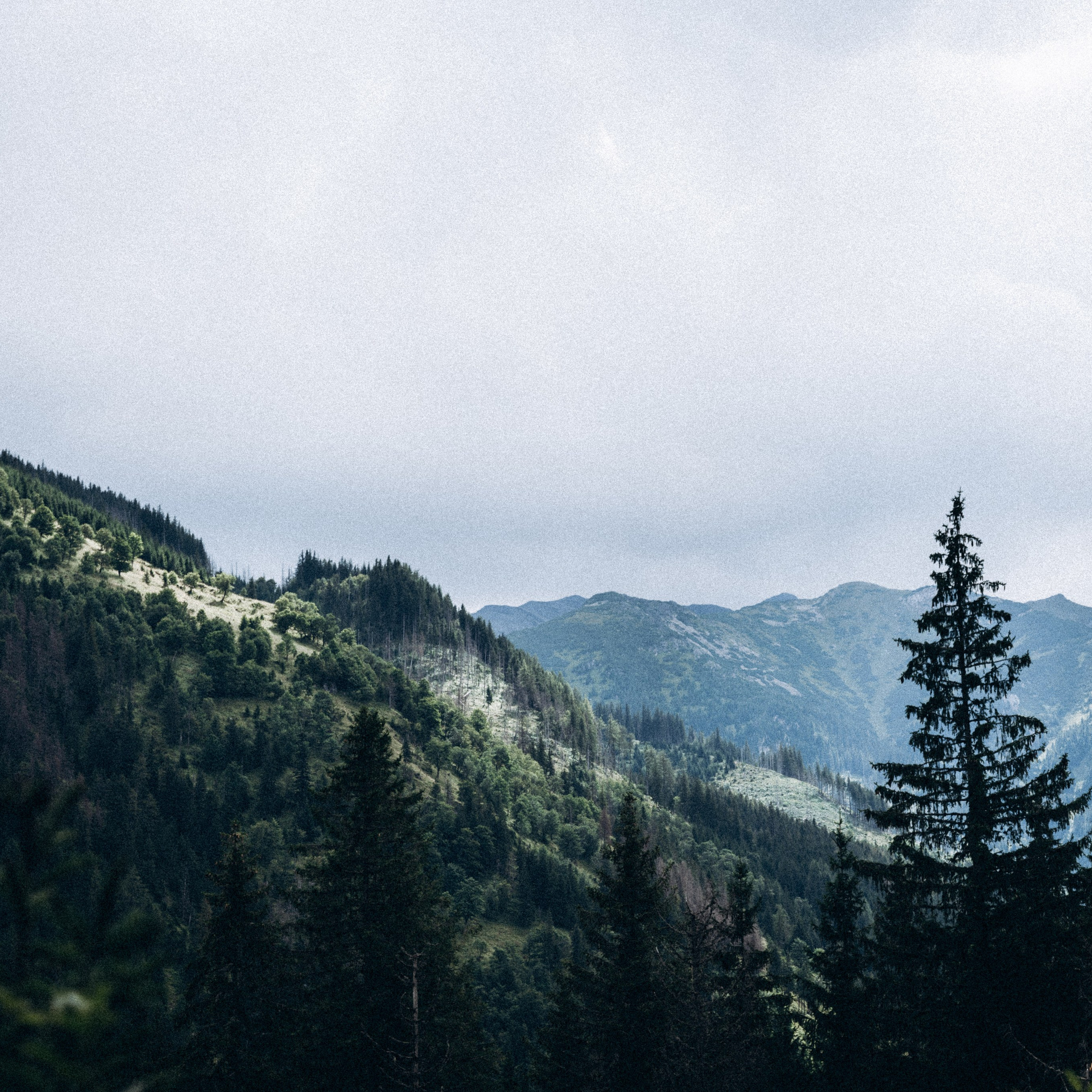 Закопаны. Anita_photo