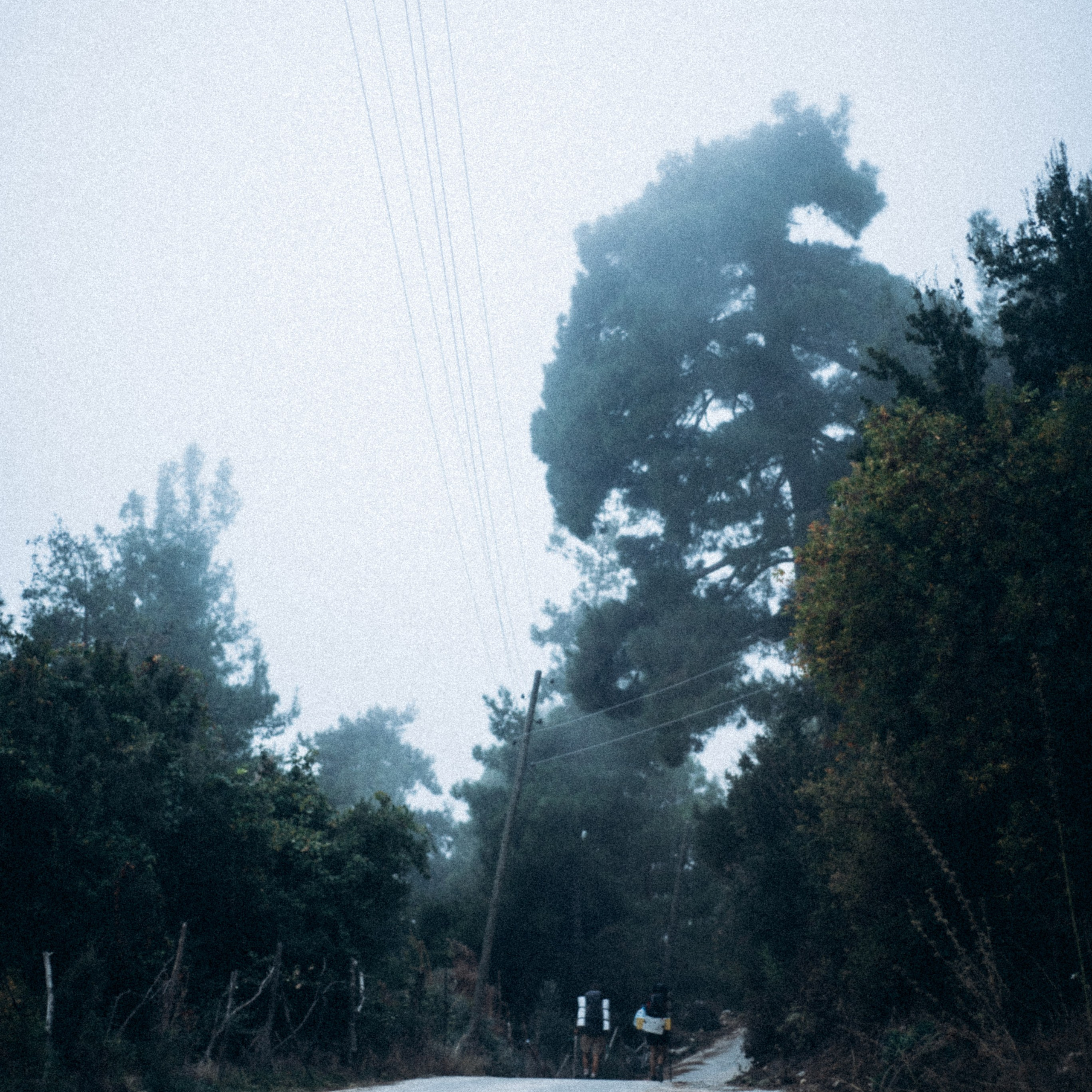 Ликийская Тропа 🇹🇷 Восточная Часть. Anita_photo