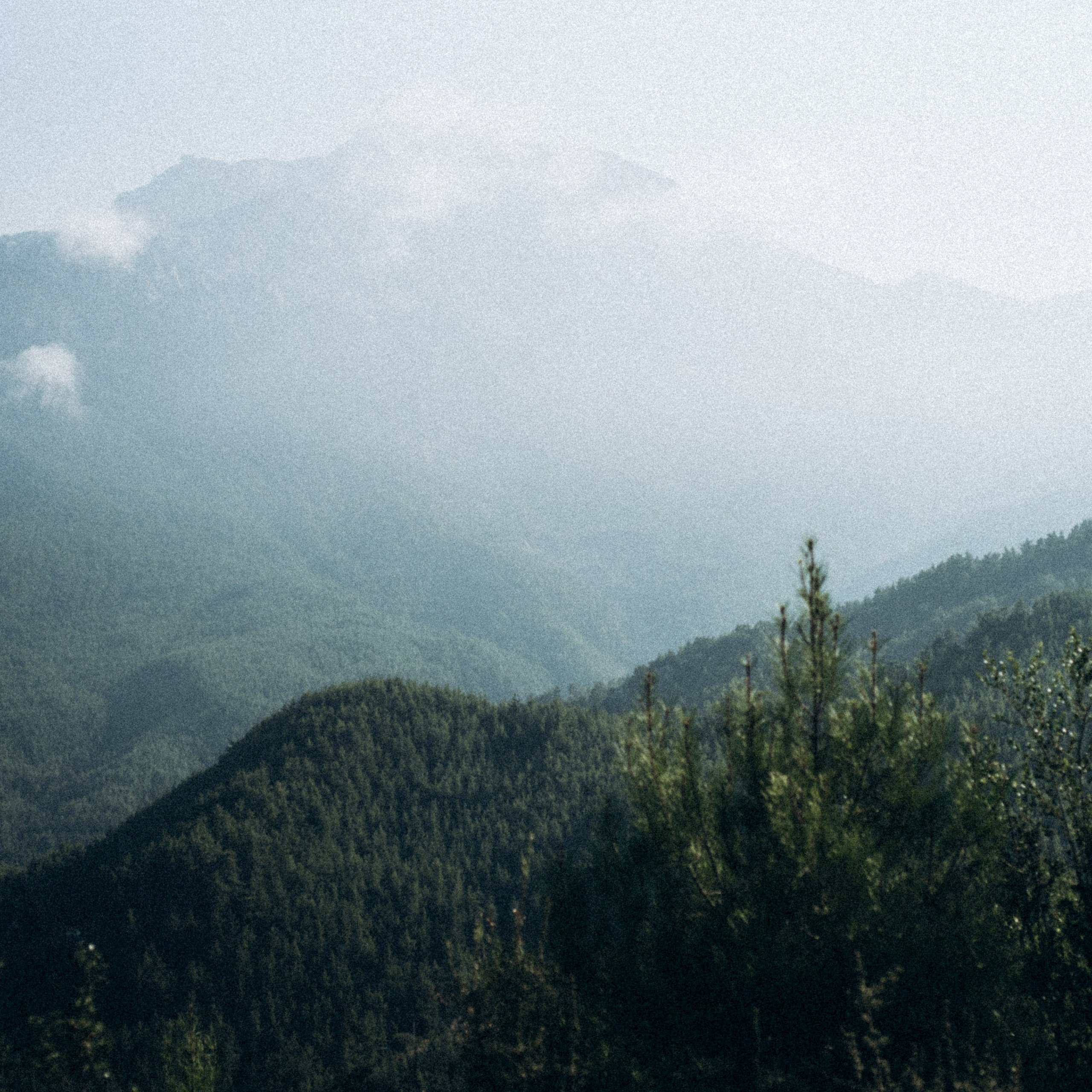 Ликийская Тропа 🇹🇷 Восточная Часть. Anita_photo