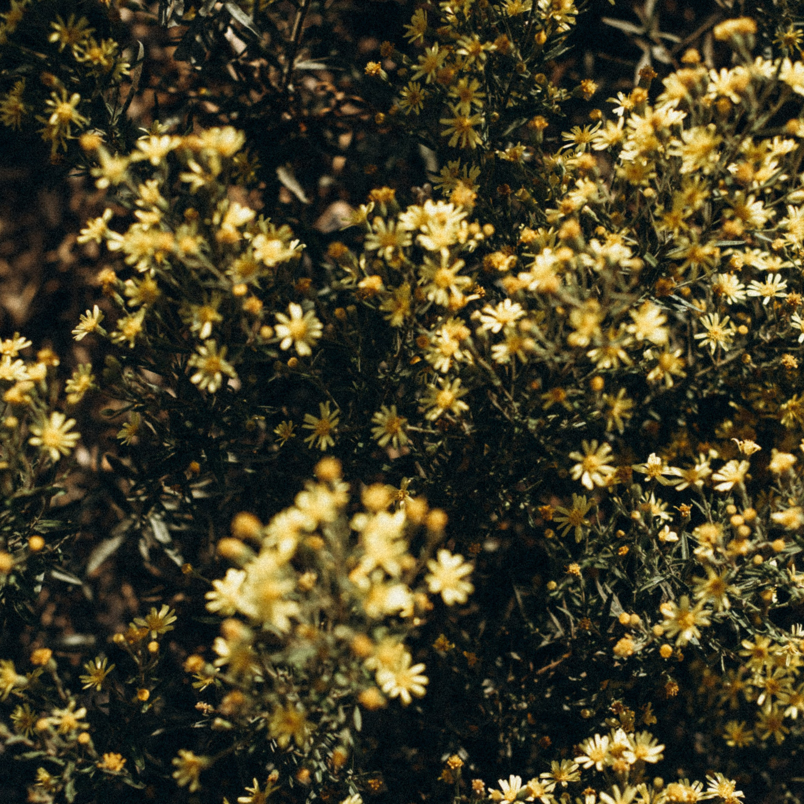 Ликийская Тропа 🇹🇷 Восточная Часть. Anita_photo