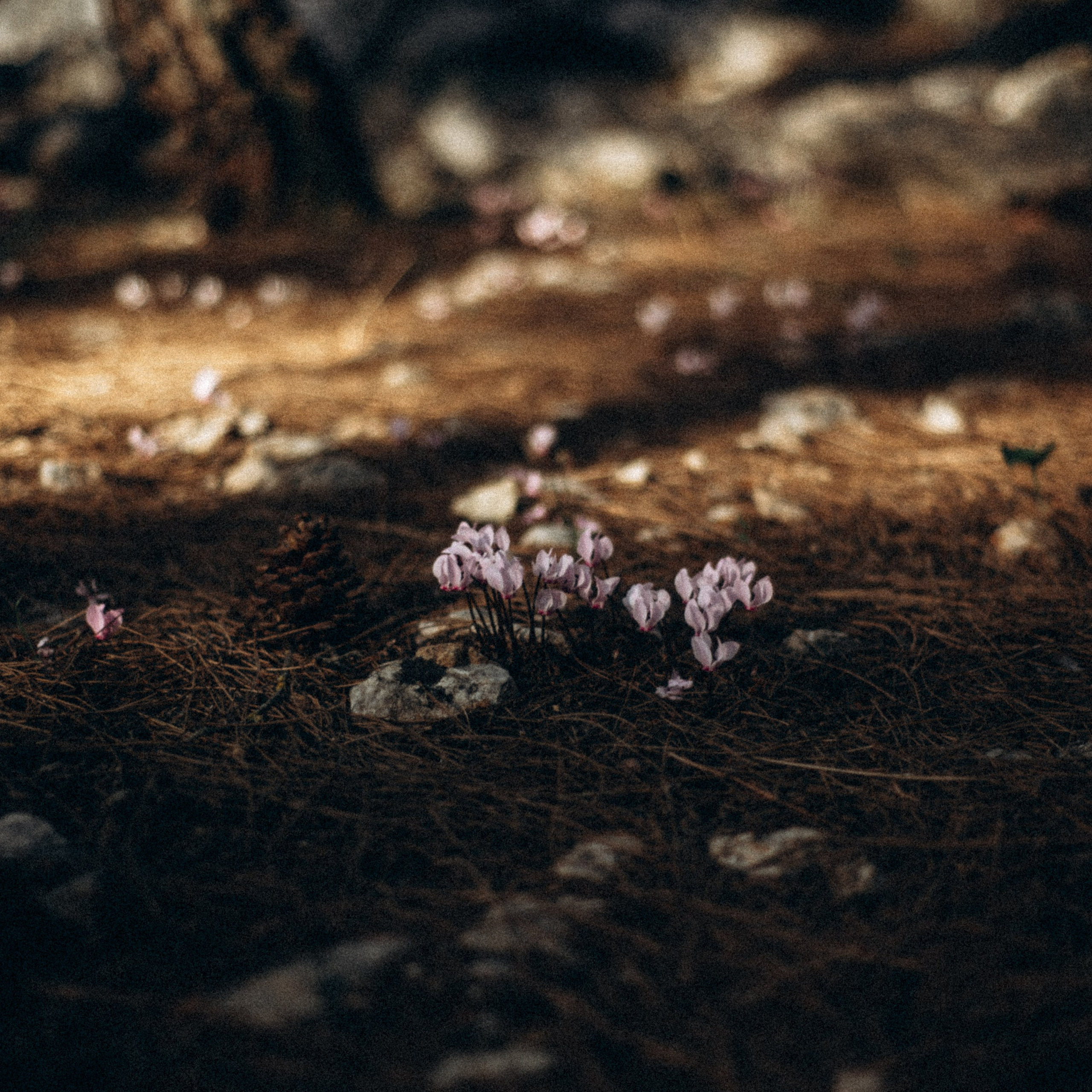 Ликийская Тропа 🇹🇷 Восточная Часть. Anita_photo
