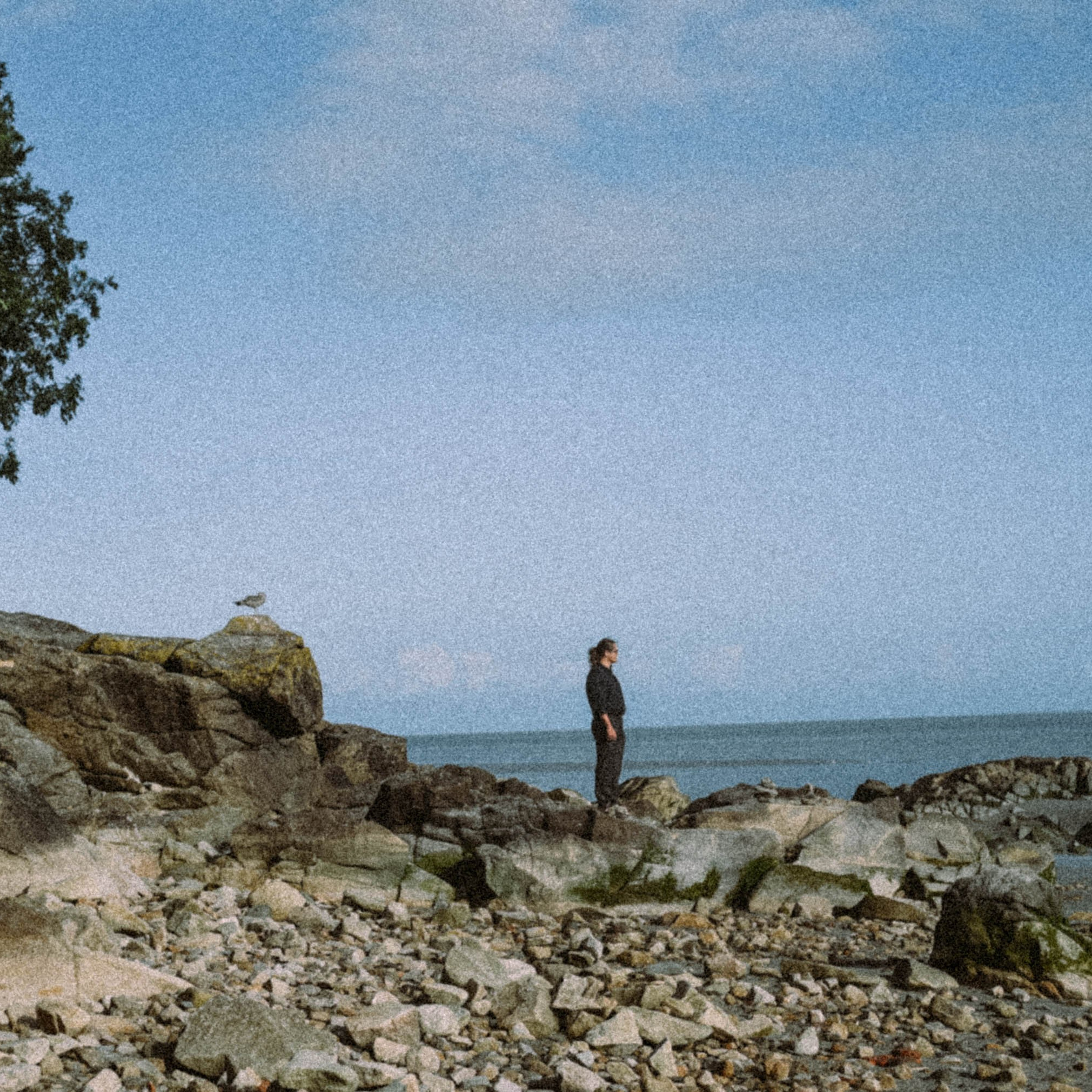 Нормандия, Франция 2025. Anita_photo