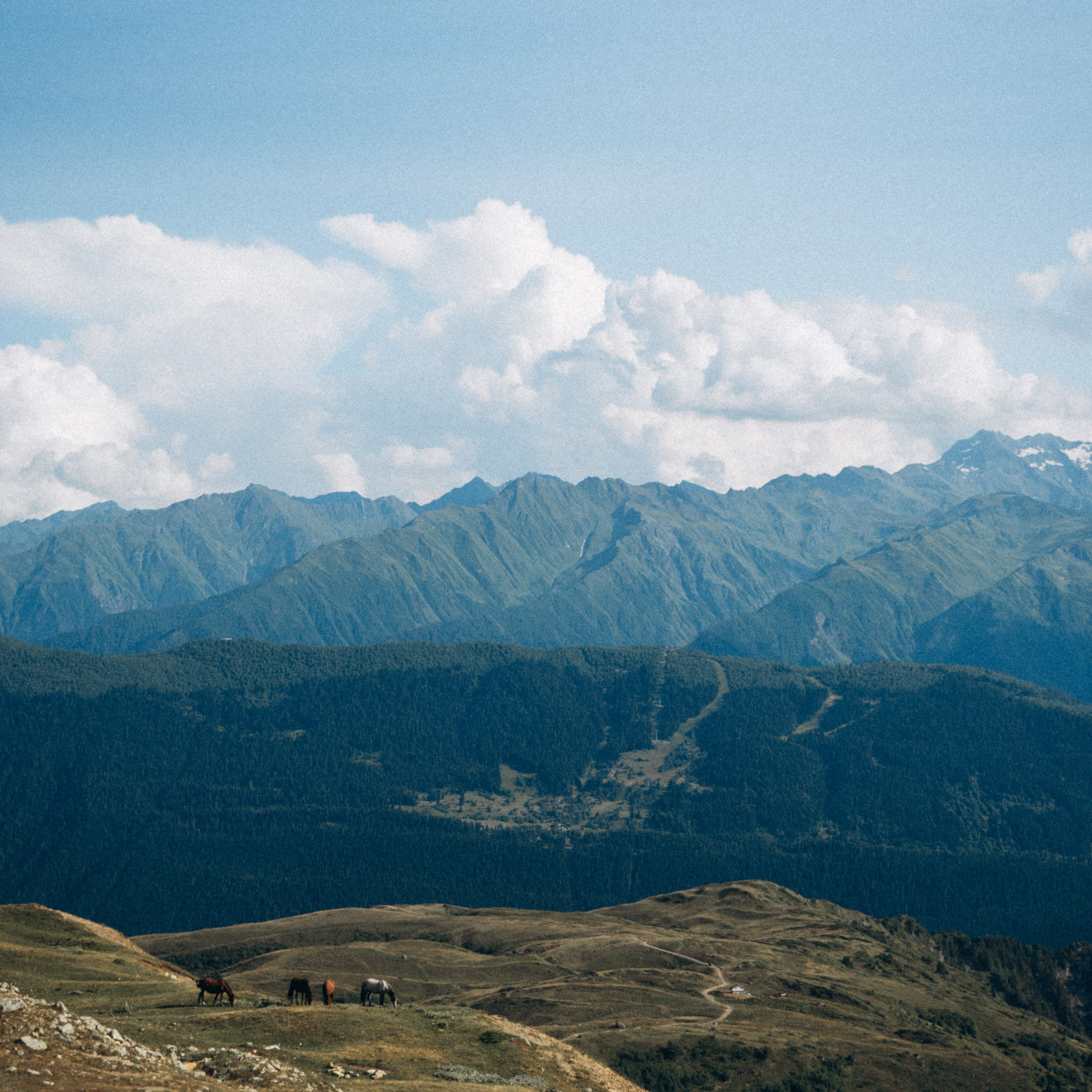 Сванетия, Грузия 🇬🇪. Anita_photo