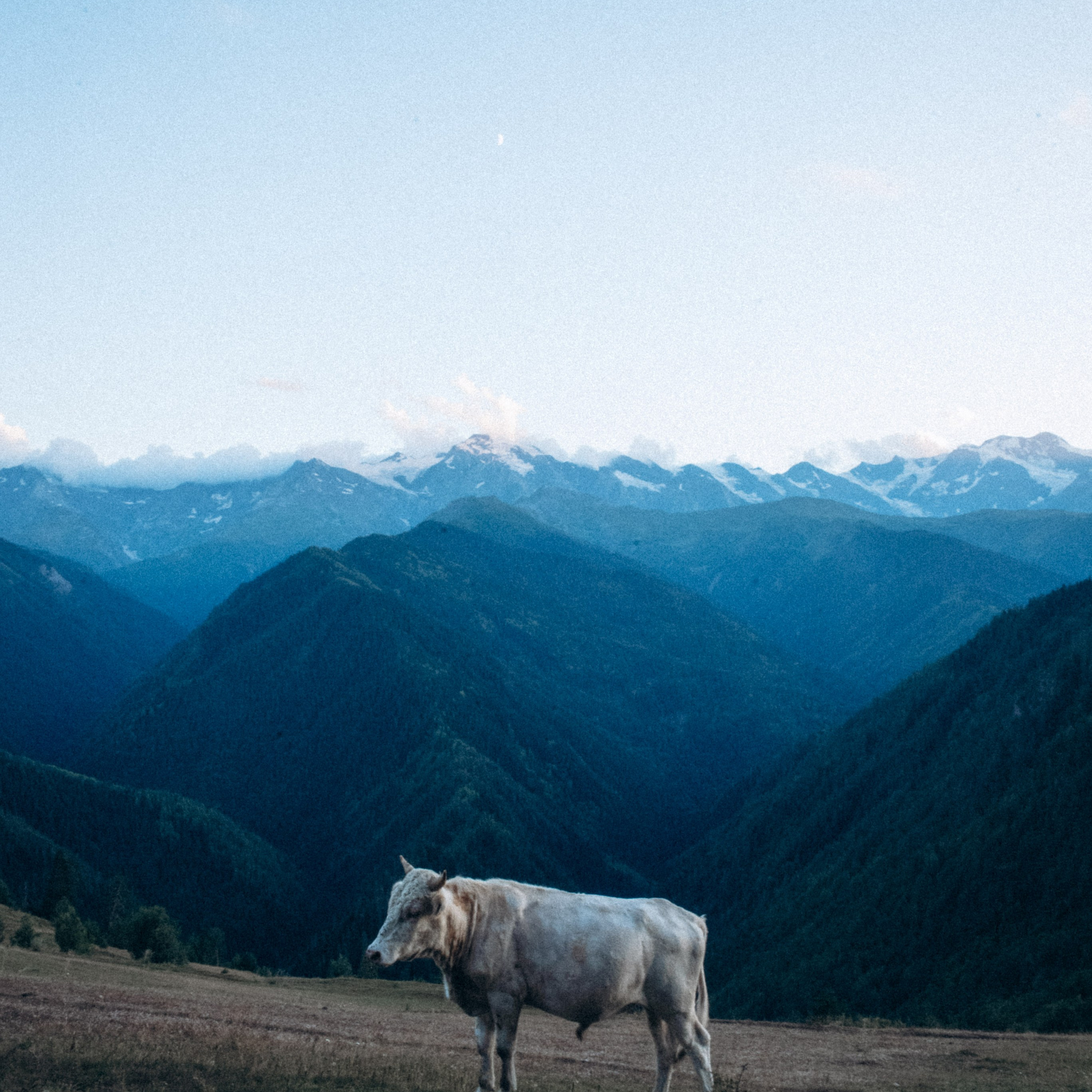 Сванетия, Грузия 🇬🇪. Anita_photo