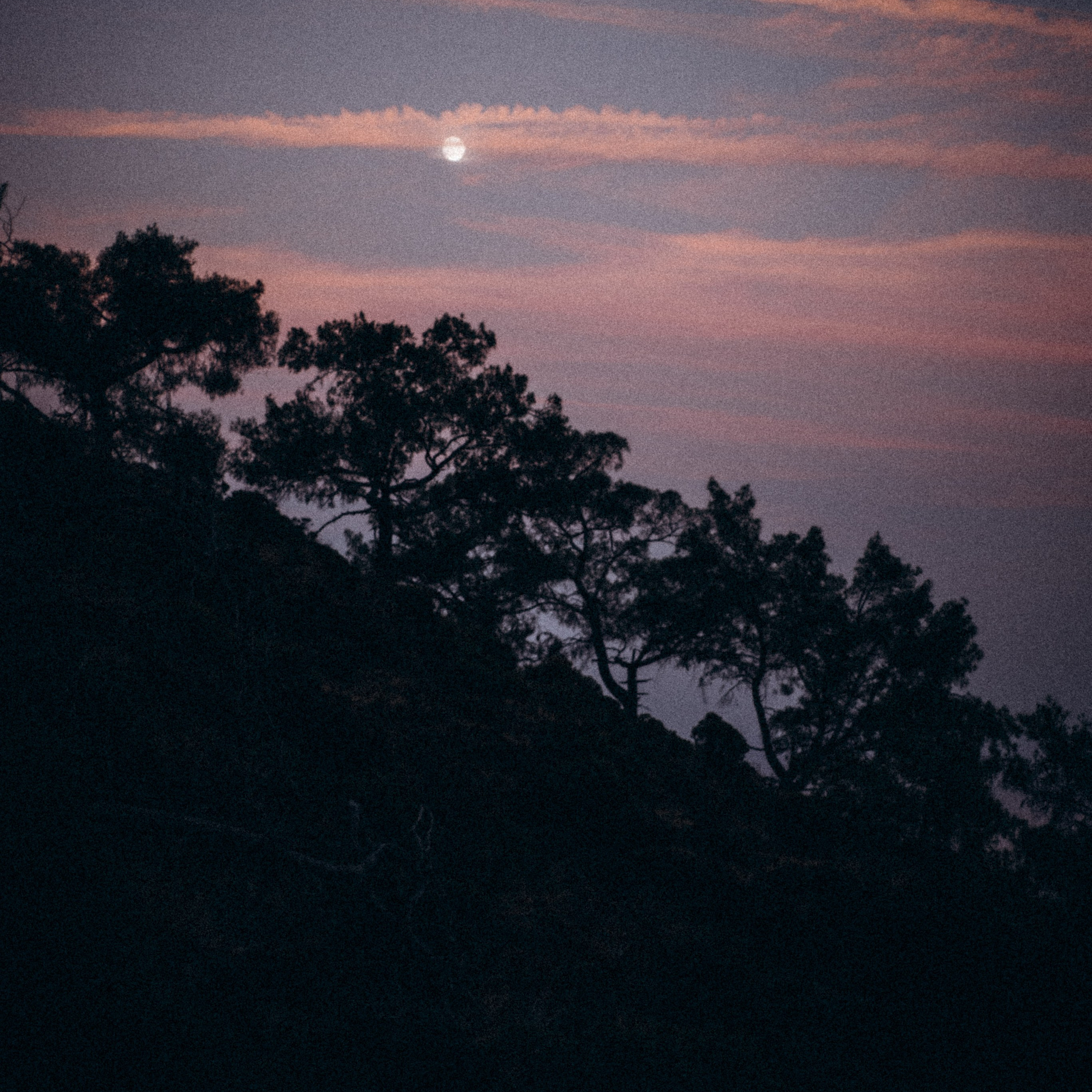 Ликийская Тропа 🇹🇷 Восточная Часть. Anita_photo