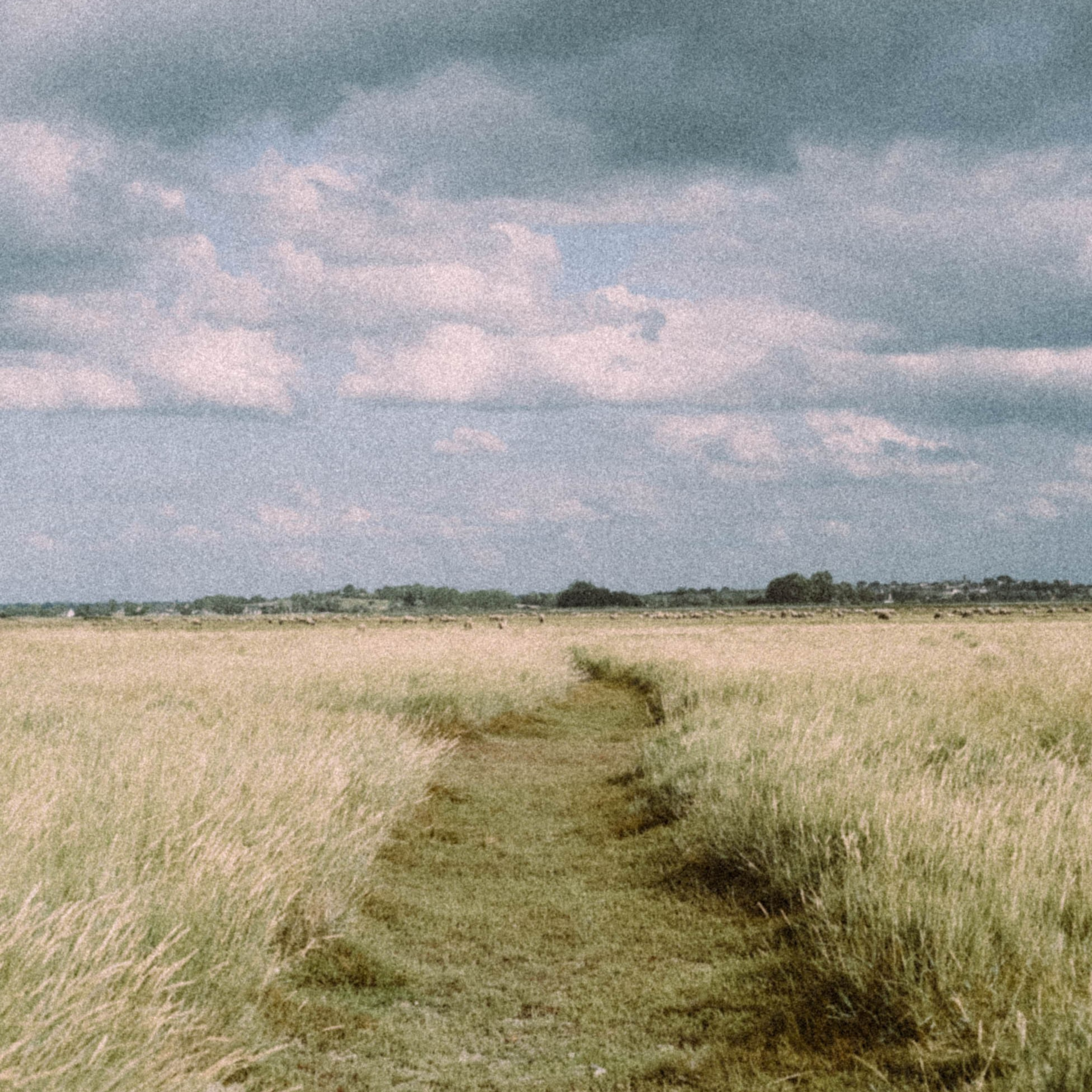 Нормандия, Франция 2025. Anita_photo