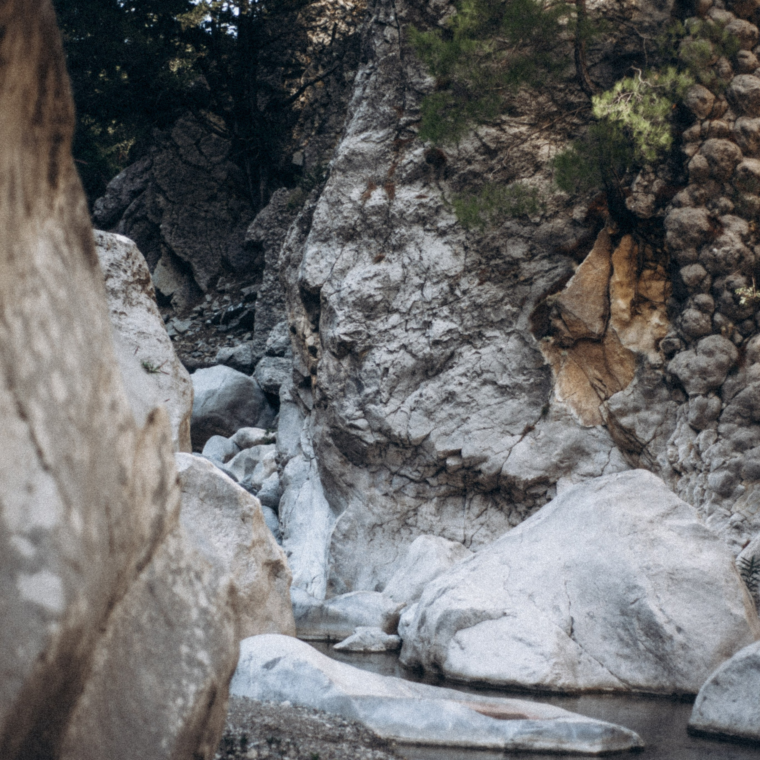 Ликийская Тропа 🇹🇷 Восточная Часть. Anita_photo