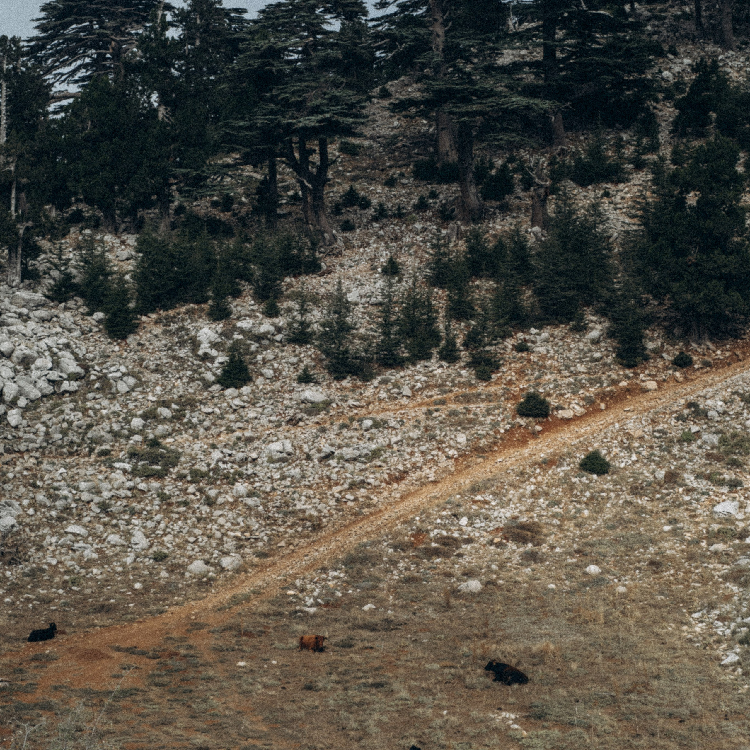 Ликийская Тропа 🇹🇷 Восточная Часть. Anita_photo