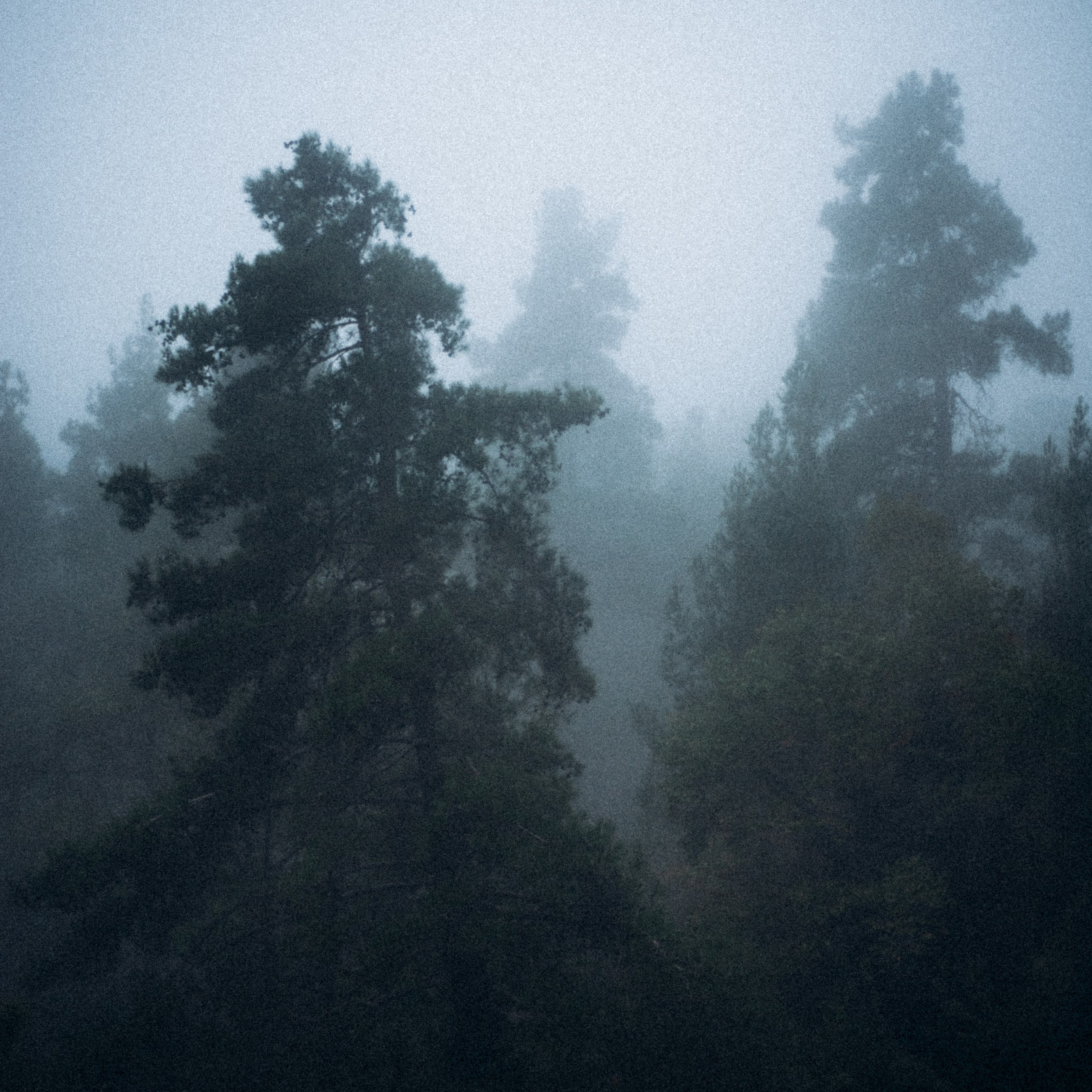 Ликийская Тропа 🇹🇷 Восточная Часть. Anita_photo
