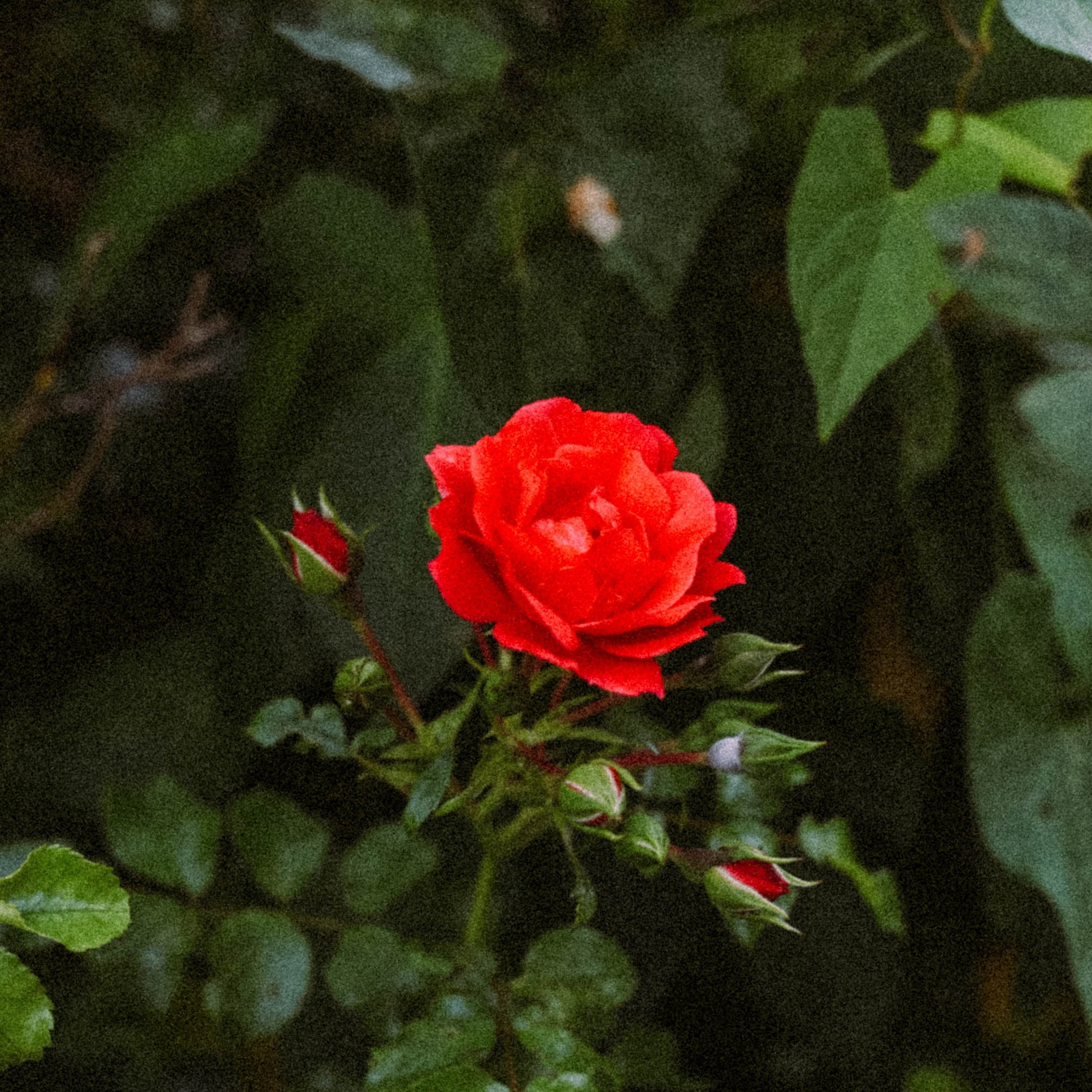 Нормандия, Франция 2025. Anita_photo